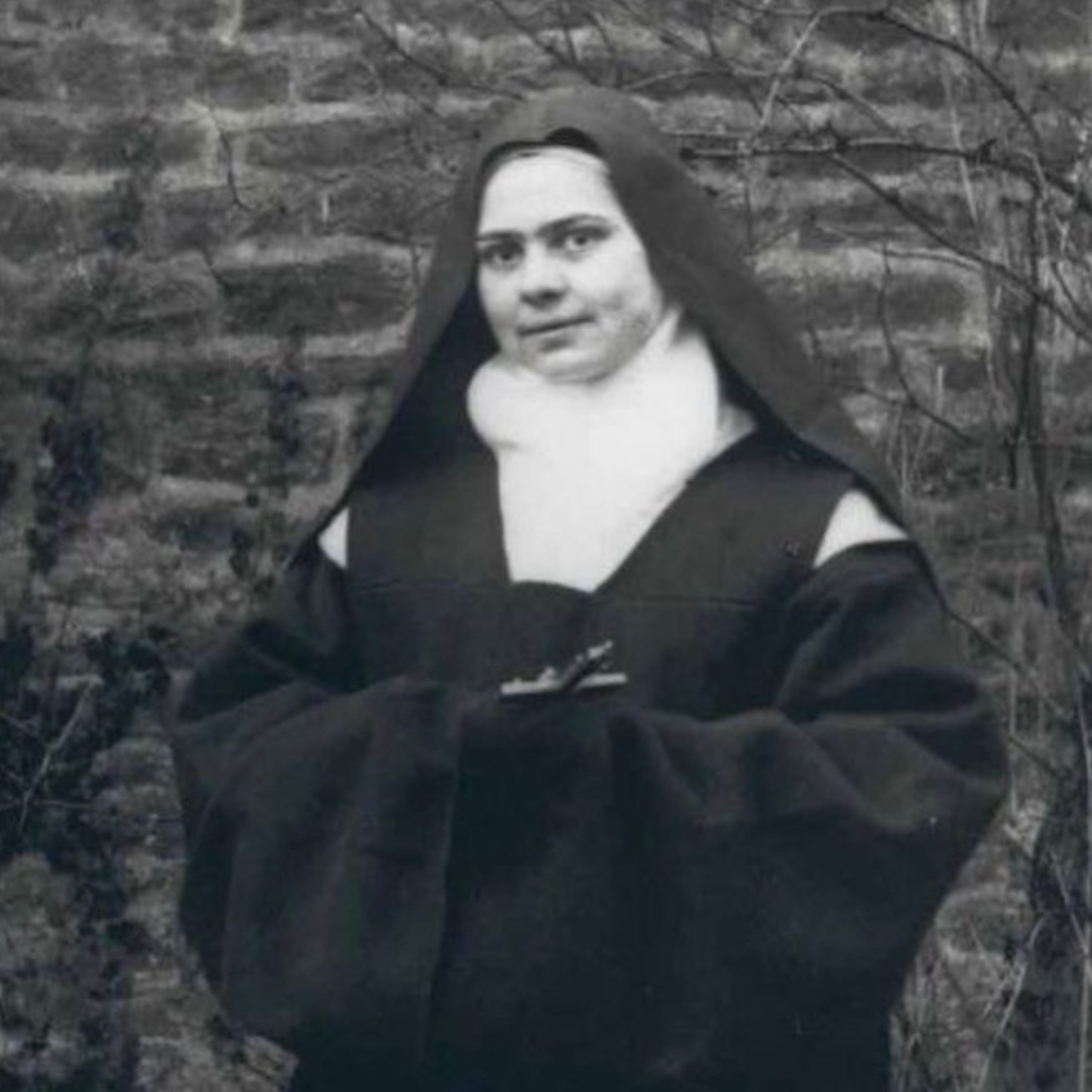 Santo del Día