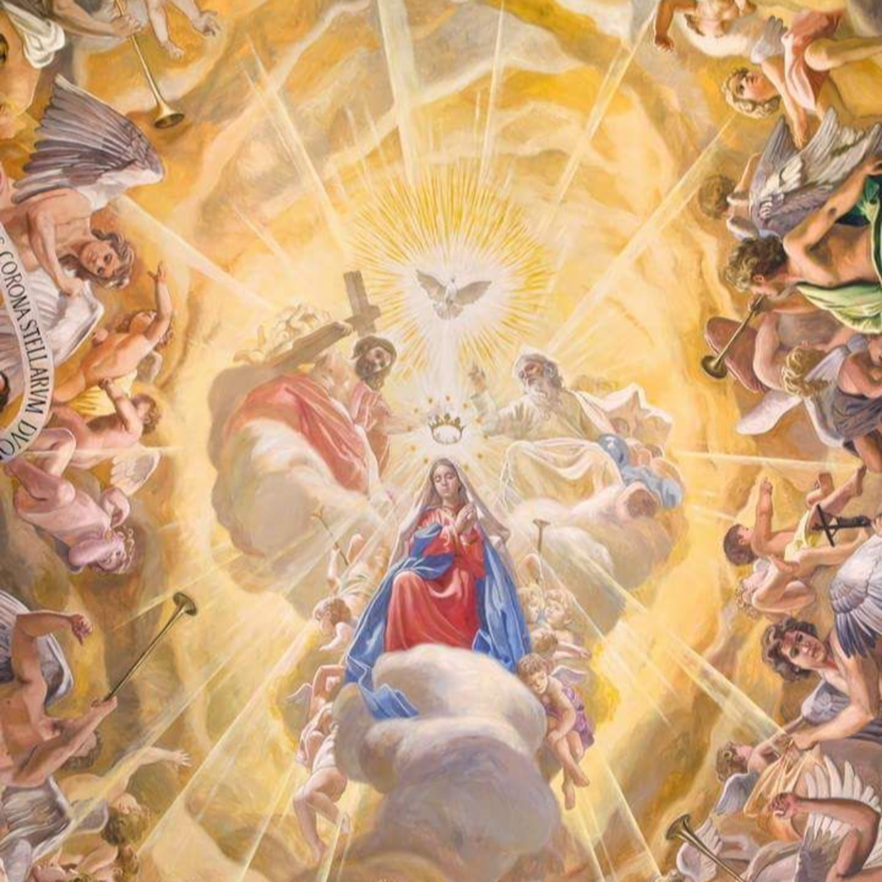 Solemnidad de Santa María Madre de Dios: 1ero de enero episode artwork
