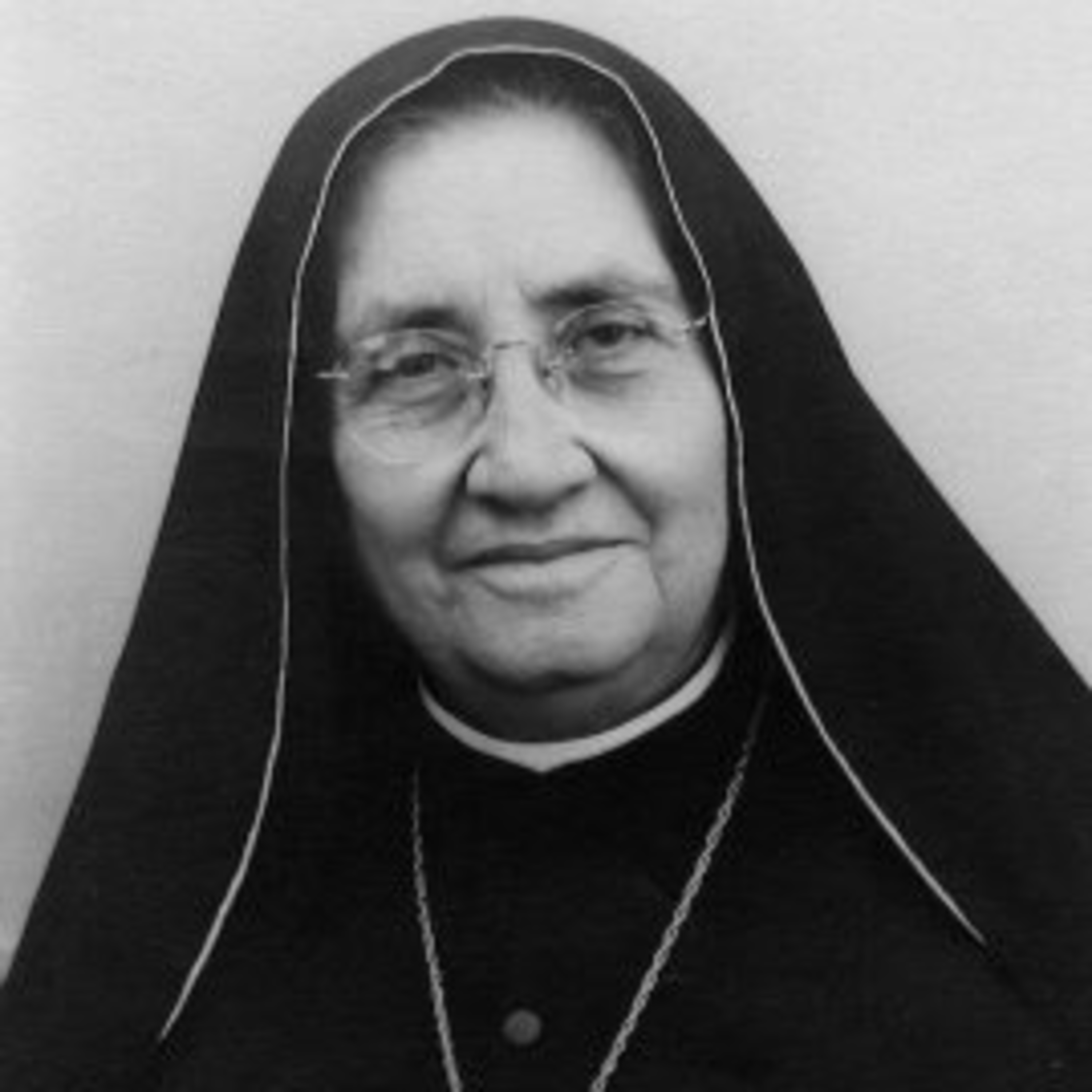 Santo del Día