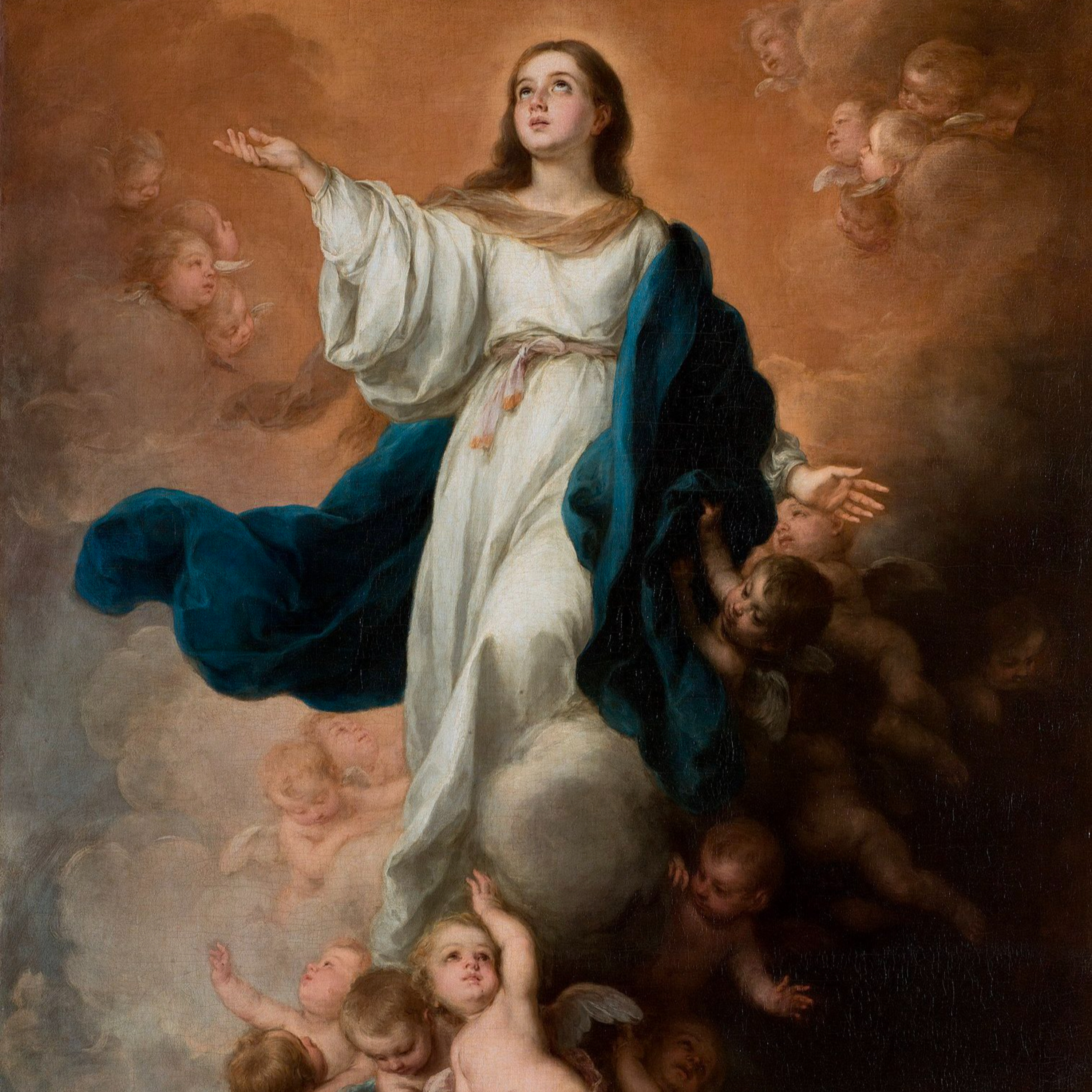 Asunción de la Sma. Virgen María: 14 de agosto episode artwork