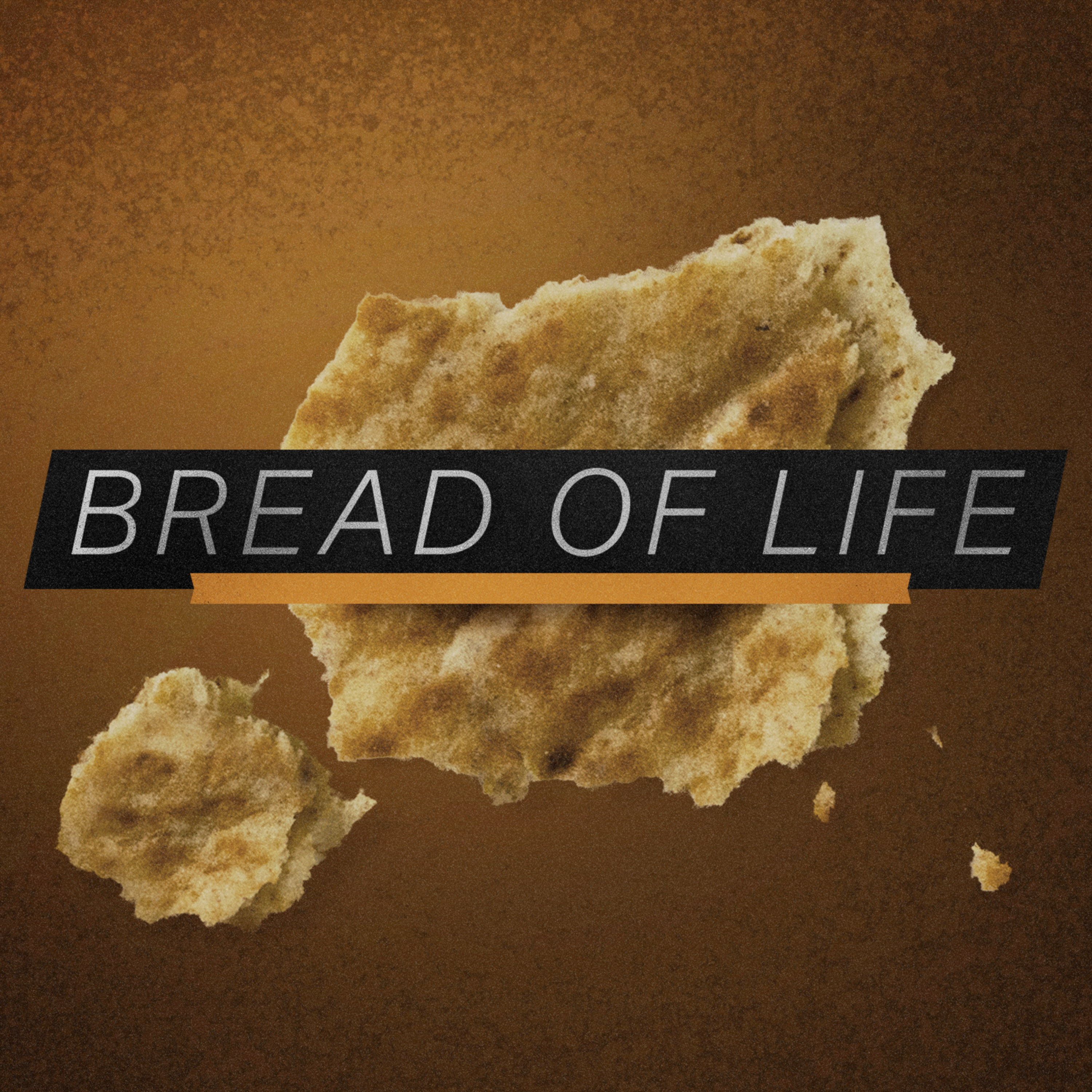 Bread of Life 2-18-24 episode artwork