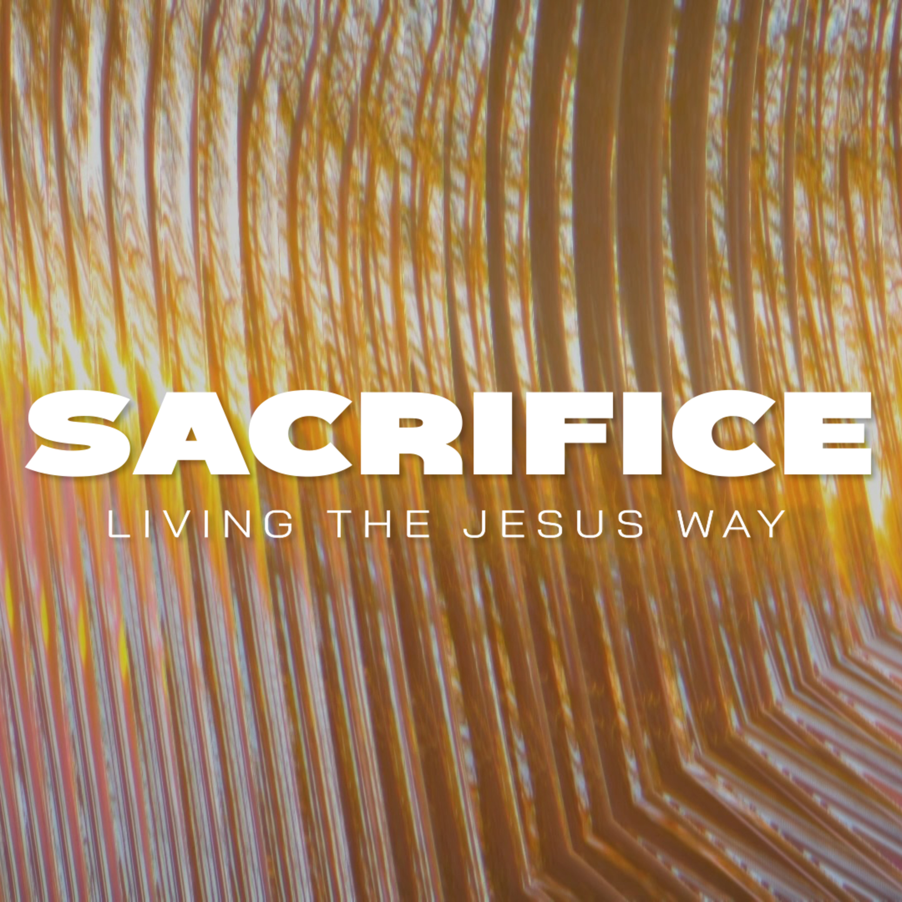The Lifestyle of Sacrifice 10-6-24 episode artwork
