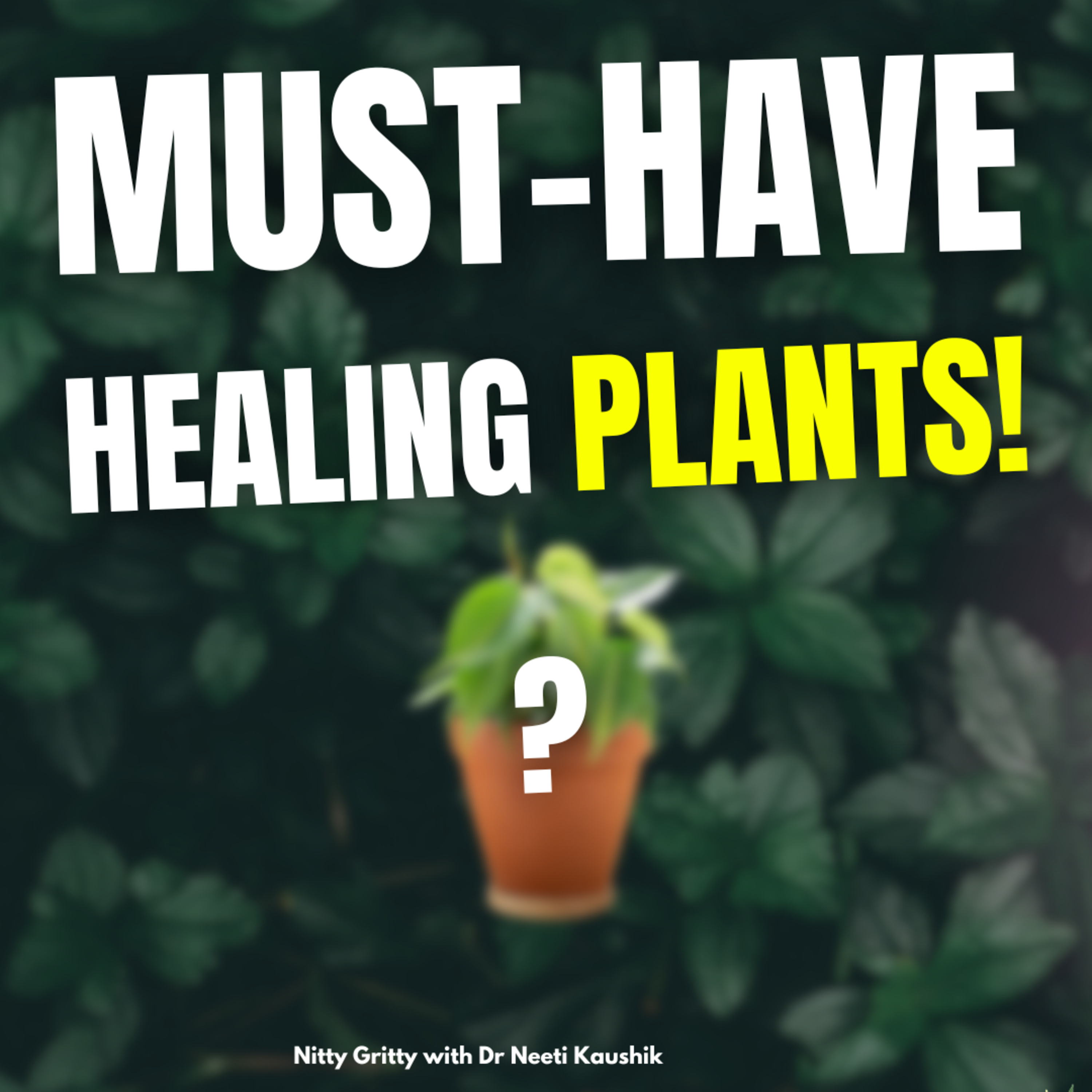MUST HAVE PLANTS FOR ABUNDANCE, SUCCESS, CREATIVITY, PEACE episode artwork