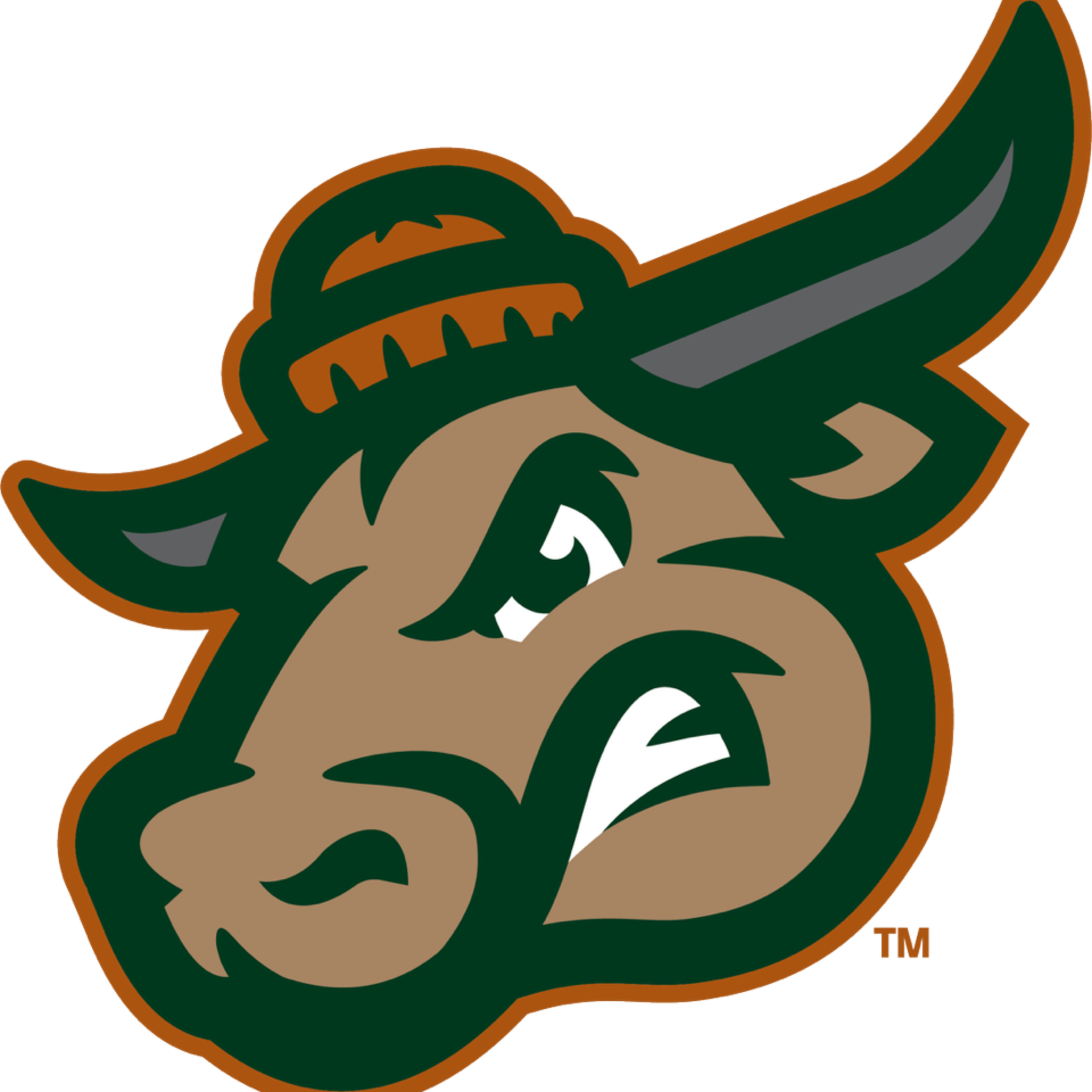 Eau Claire Hometown Media