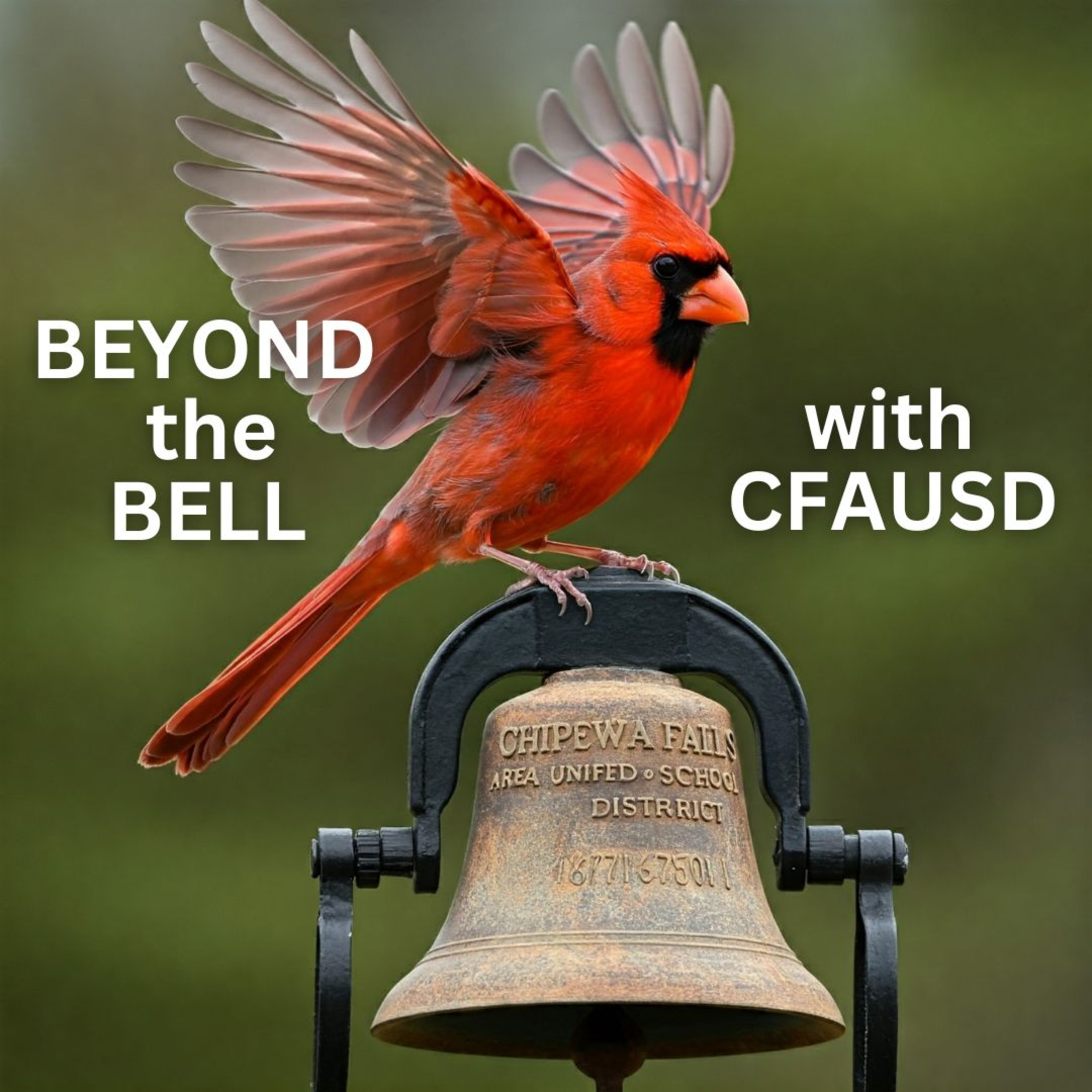 Beyond the Bell w/ CFAUSD #8 - Connecting students to STEAM