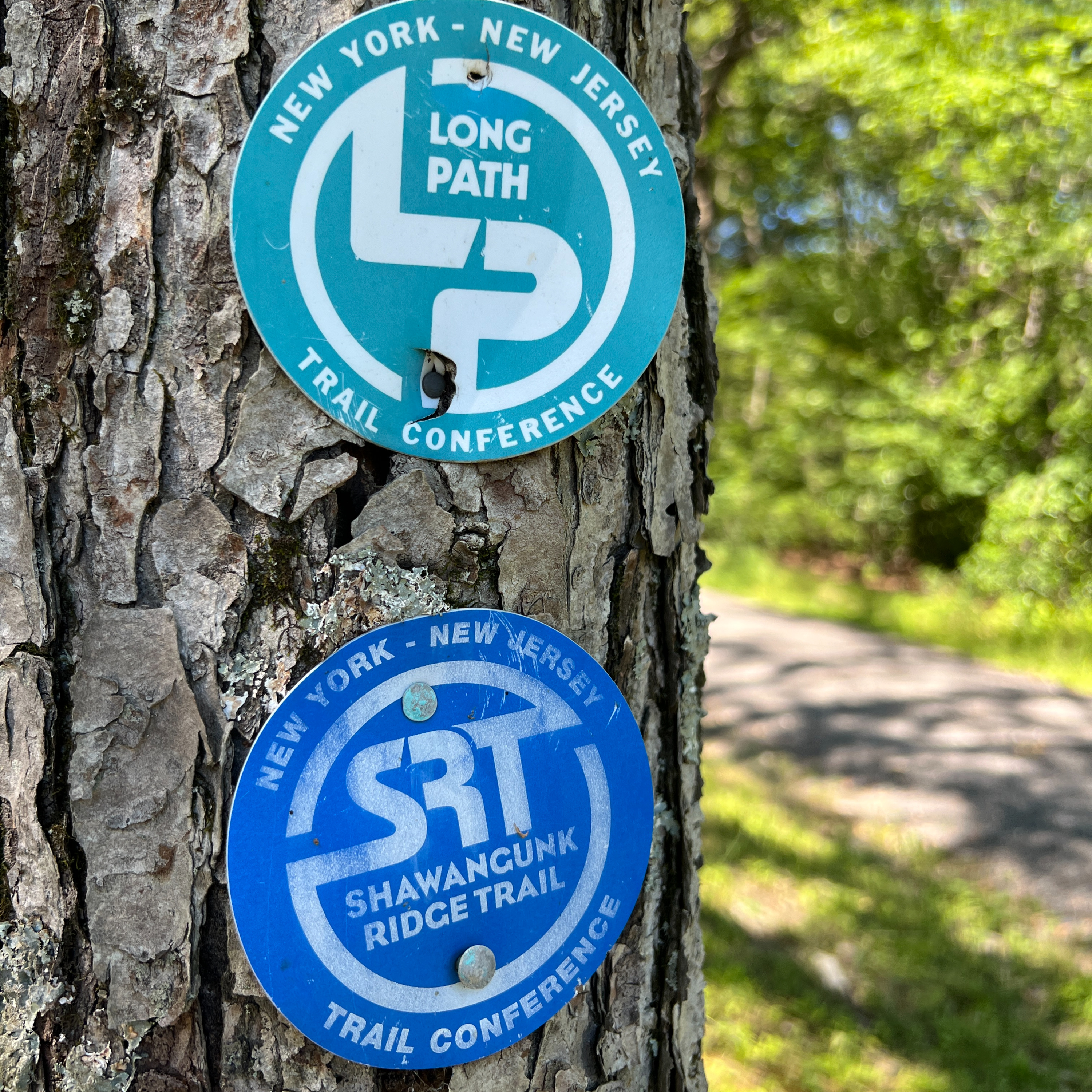 2025 Squatchywaska Mountainfest Pre-Race Announcements + Q&A