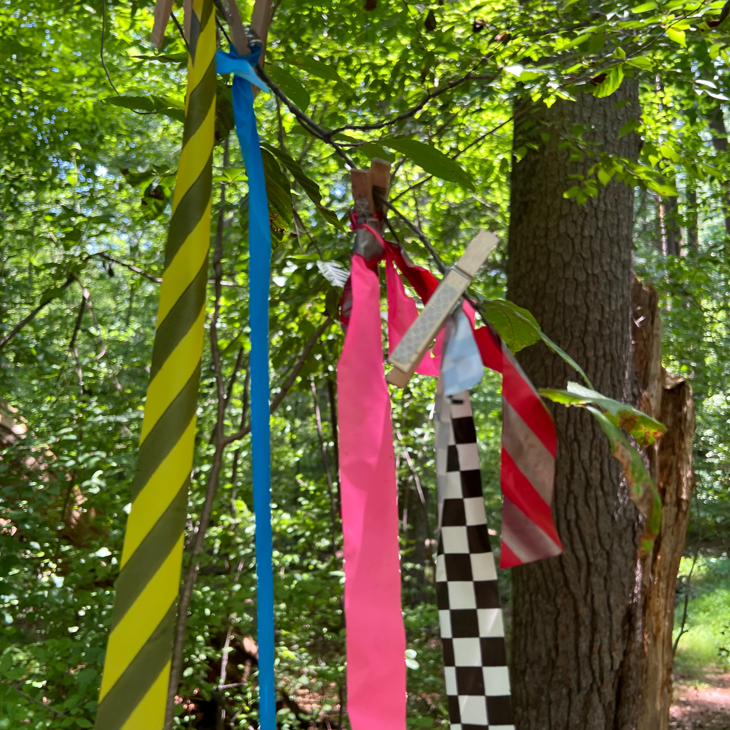 Pre-Race Announcements for the Squatchy Surprise Trail Party