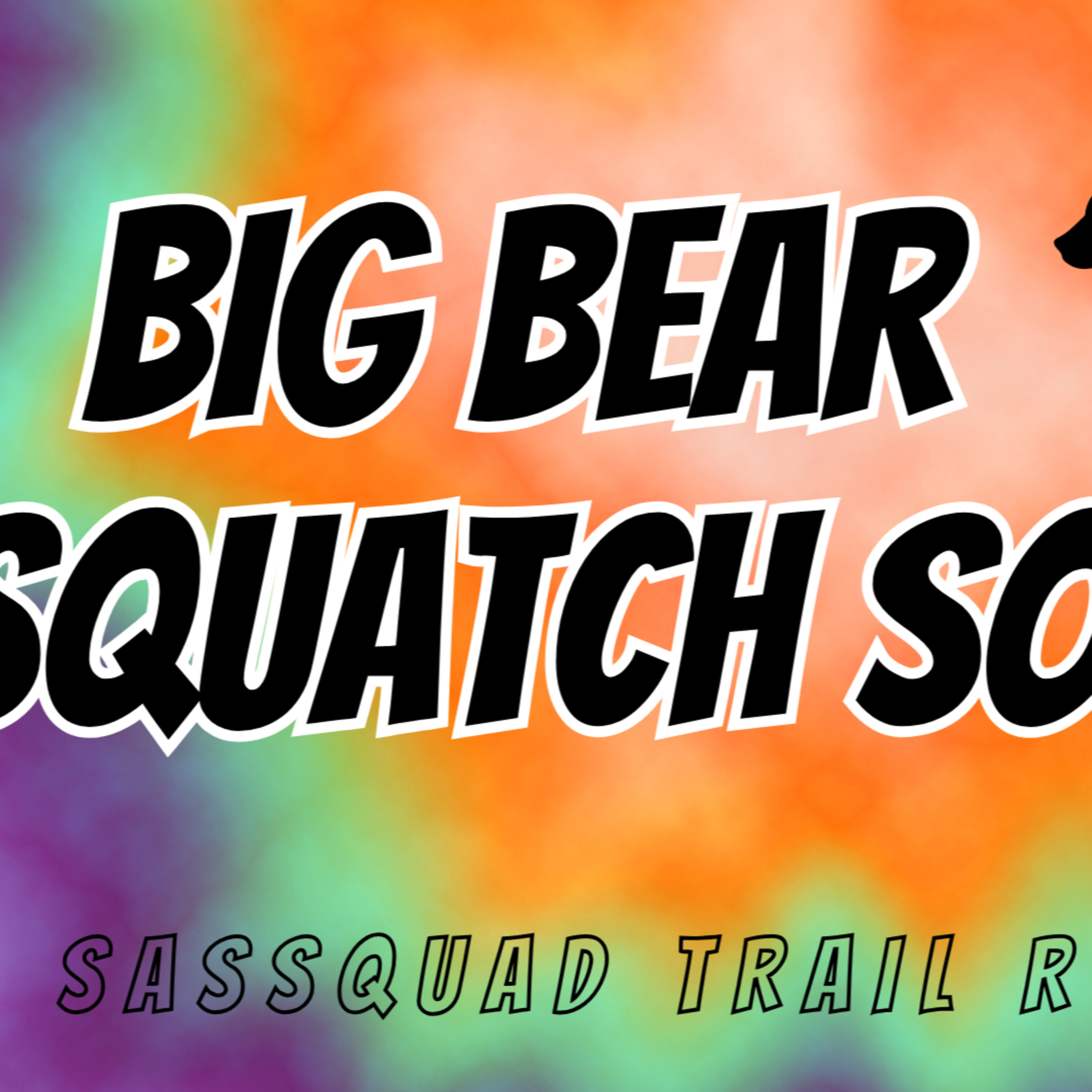 Big Bear SquaTCh South 13.1M/10K Pre-Race Announcements episode artwork