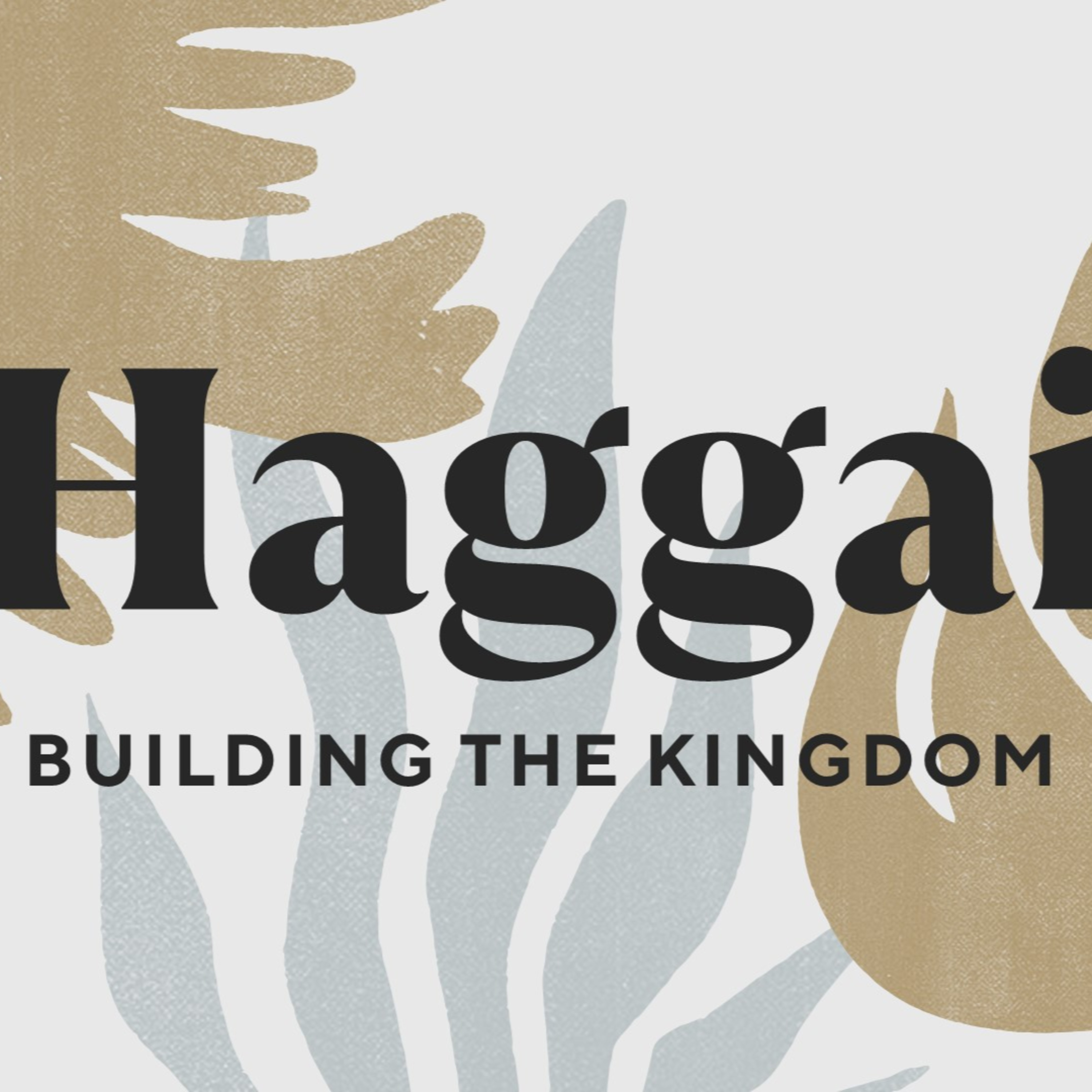 The Lord's house in ruins - Haggai 1:1-15 episode artwork