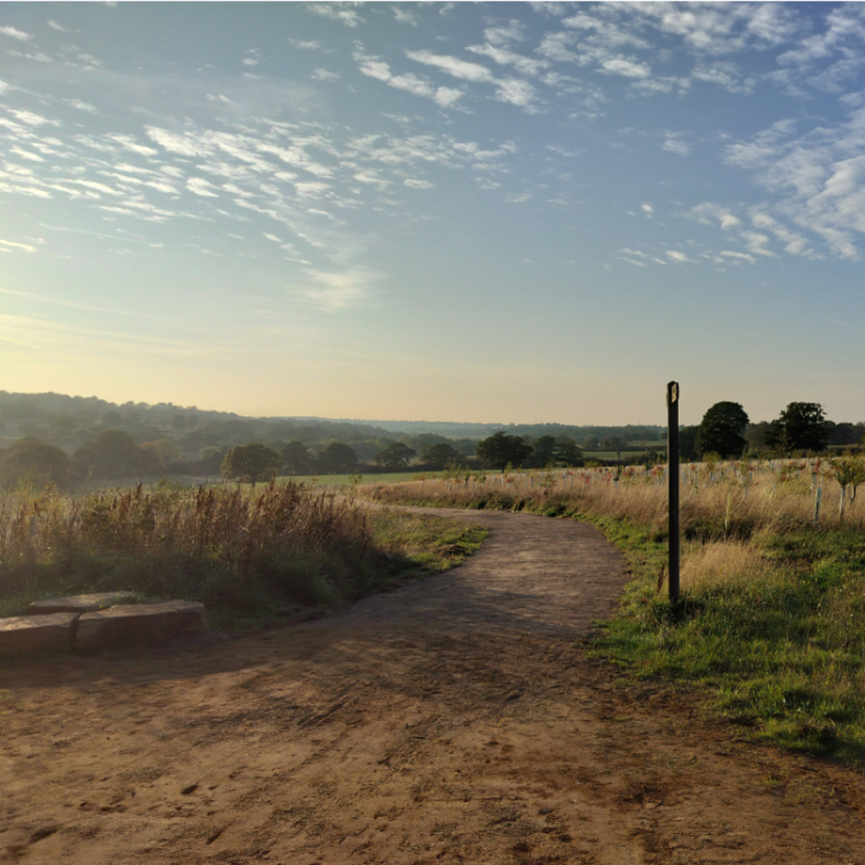 The Journal Series - Episode 6