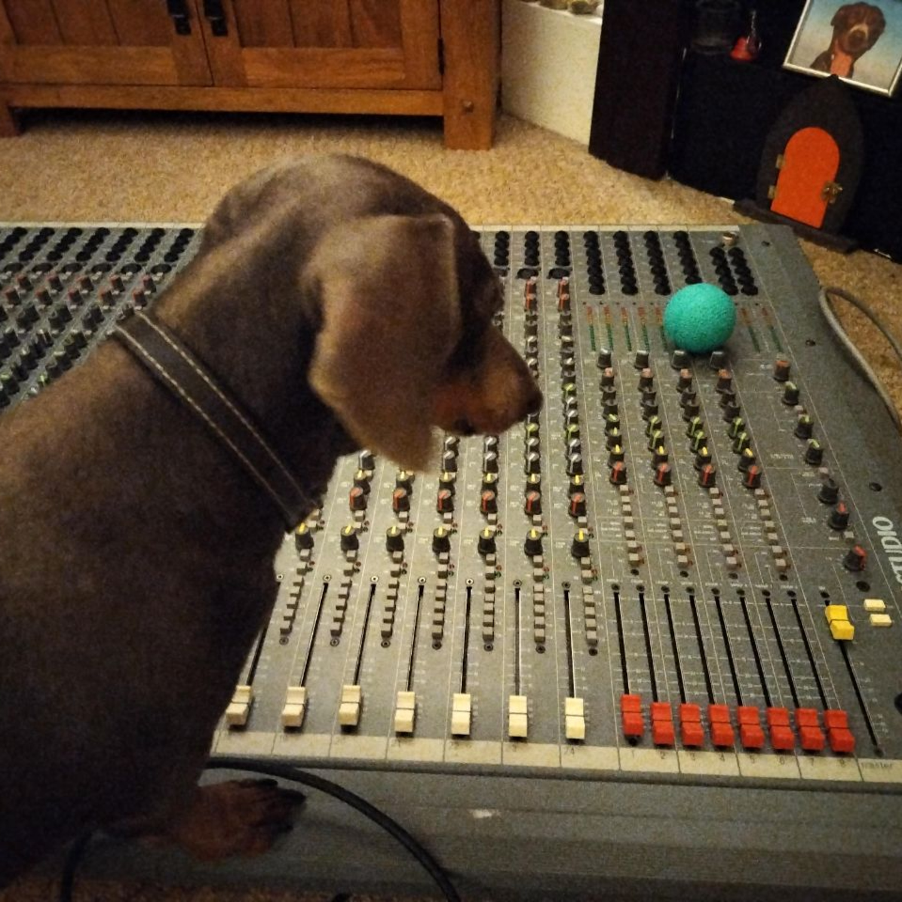 The Journal Series - Episode 14