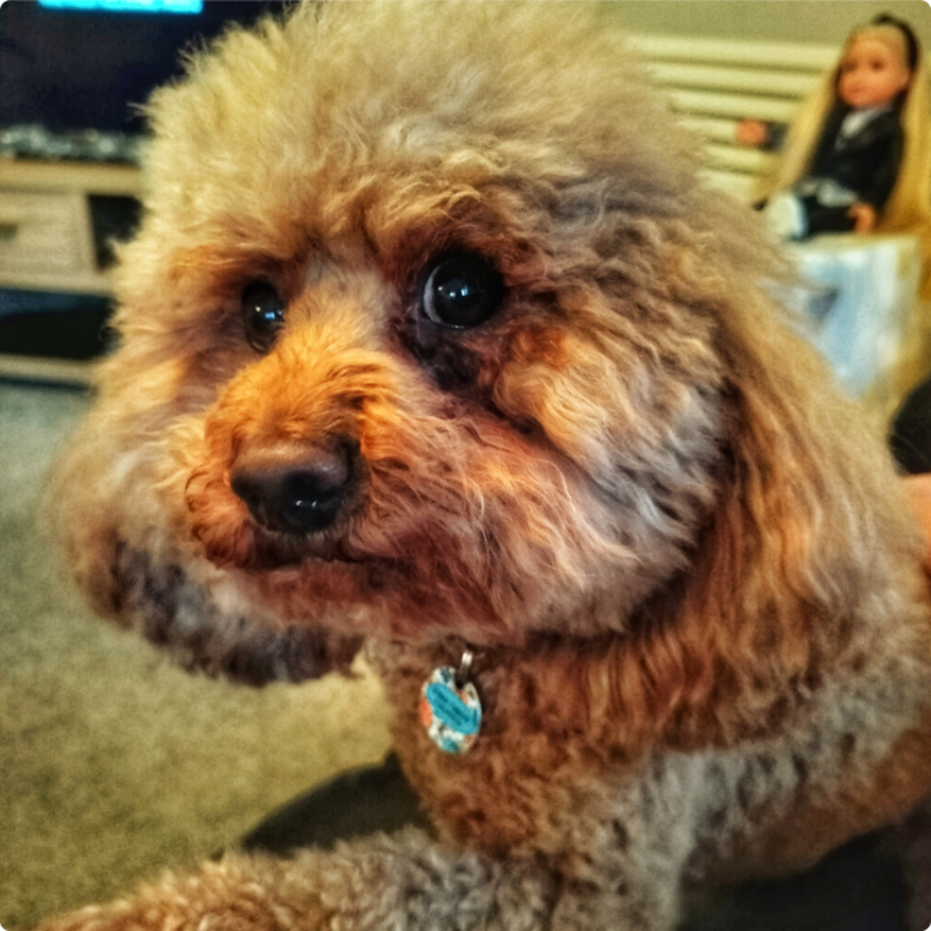 The Journal Series - Episode 16