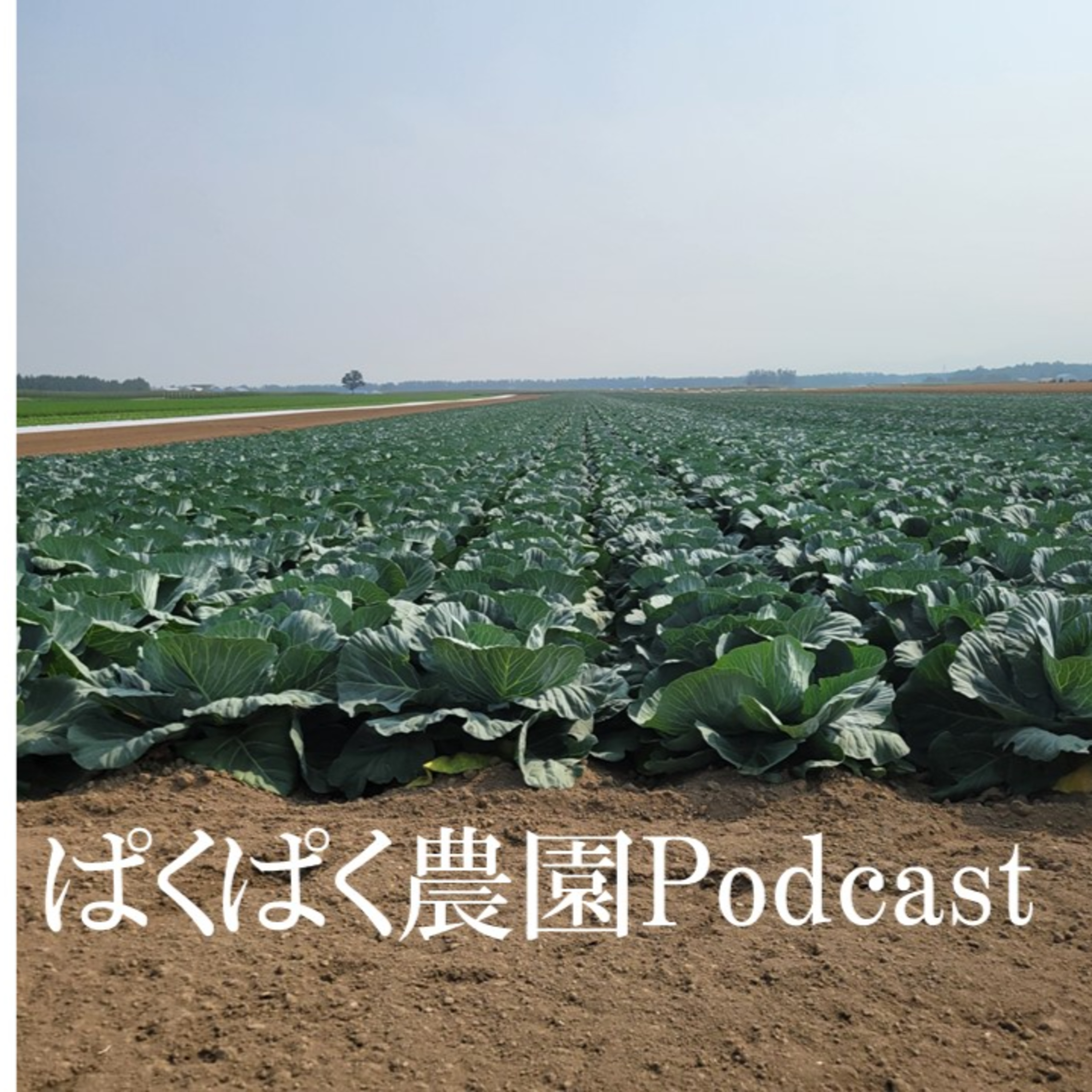 7/17の北海道視察とお土産の話 episode artwork