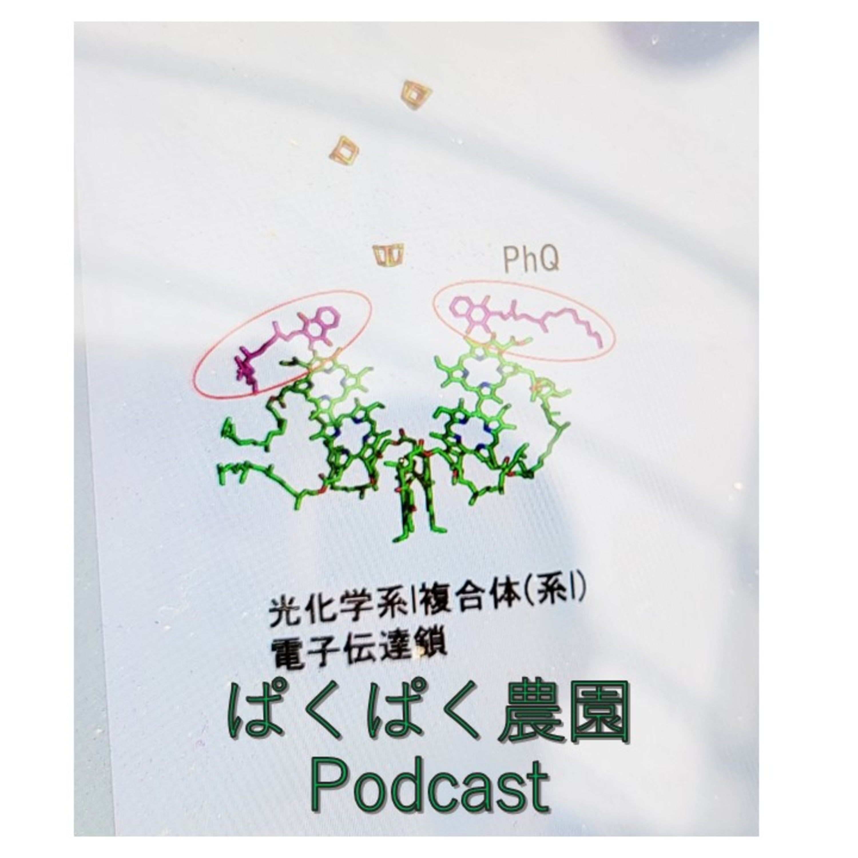 え？好熱性シアノバクテリアの光化学系の改変？ episode artwork