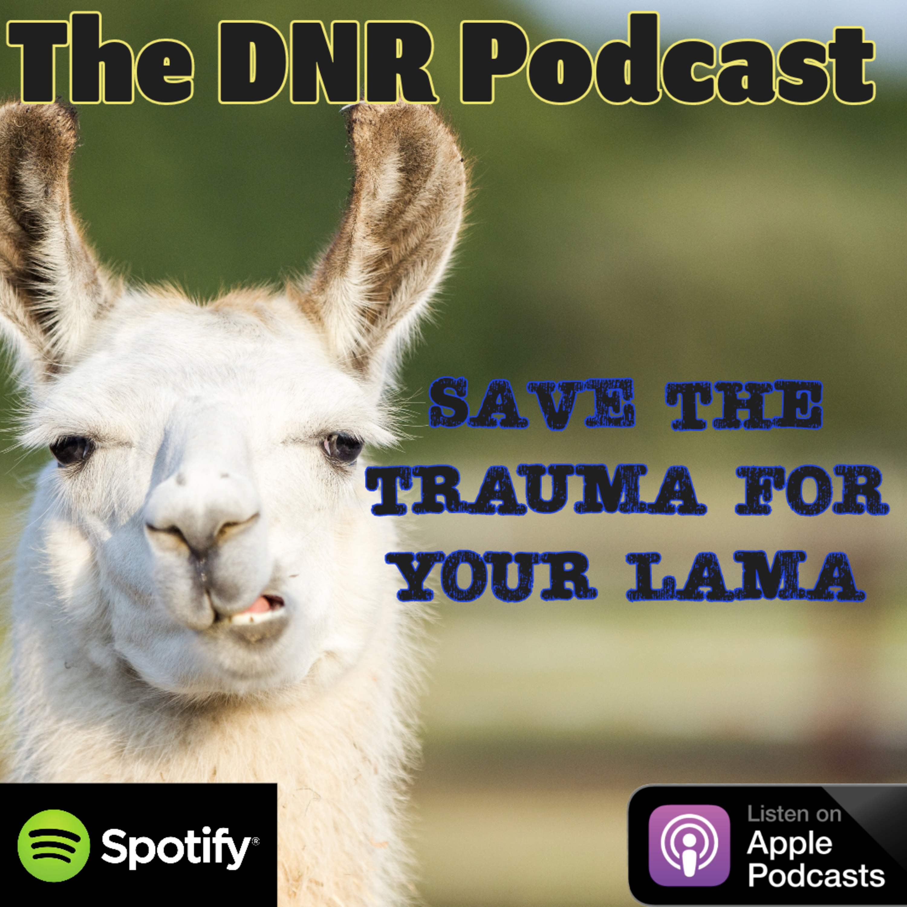 the DNR Podcast