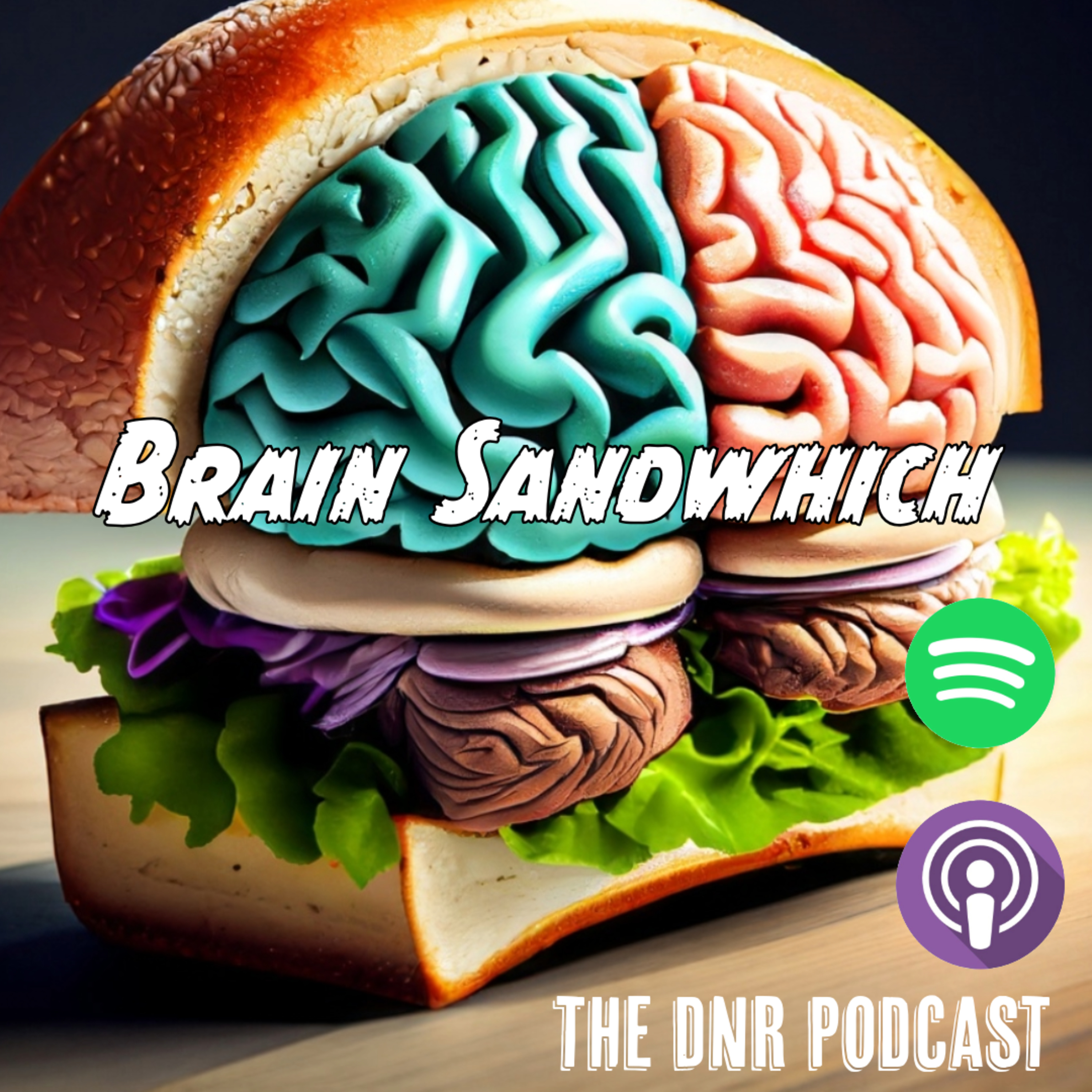 the DNR Podcast
