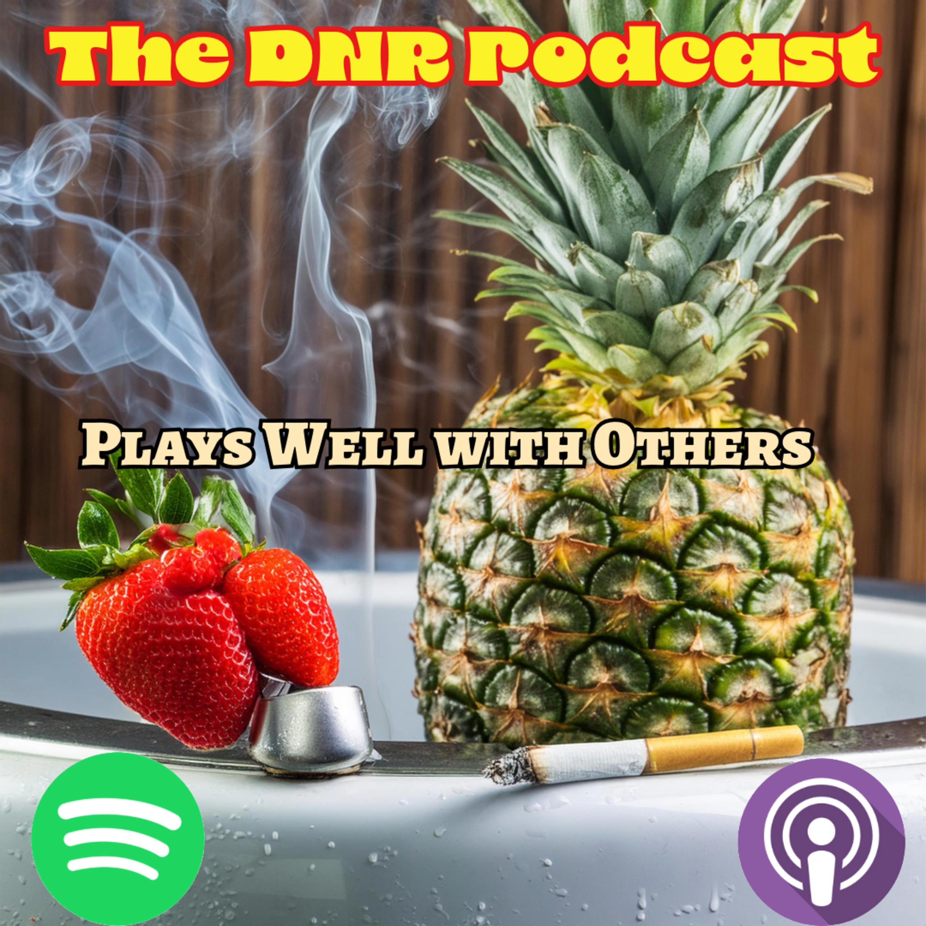 the DNR Podcast