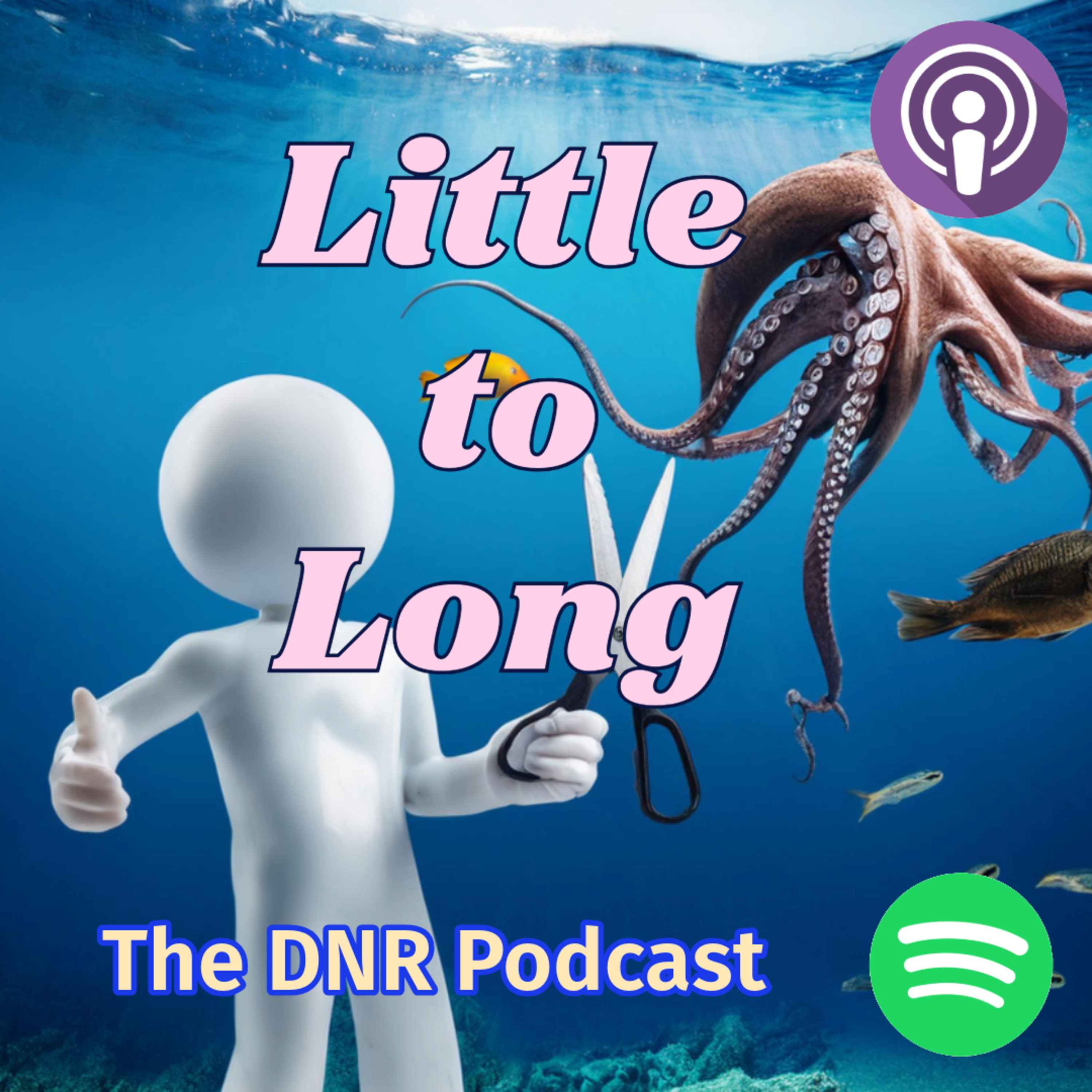 the DNR Podcast
