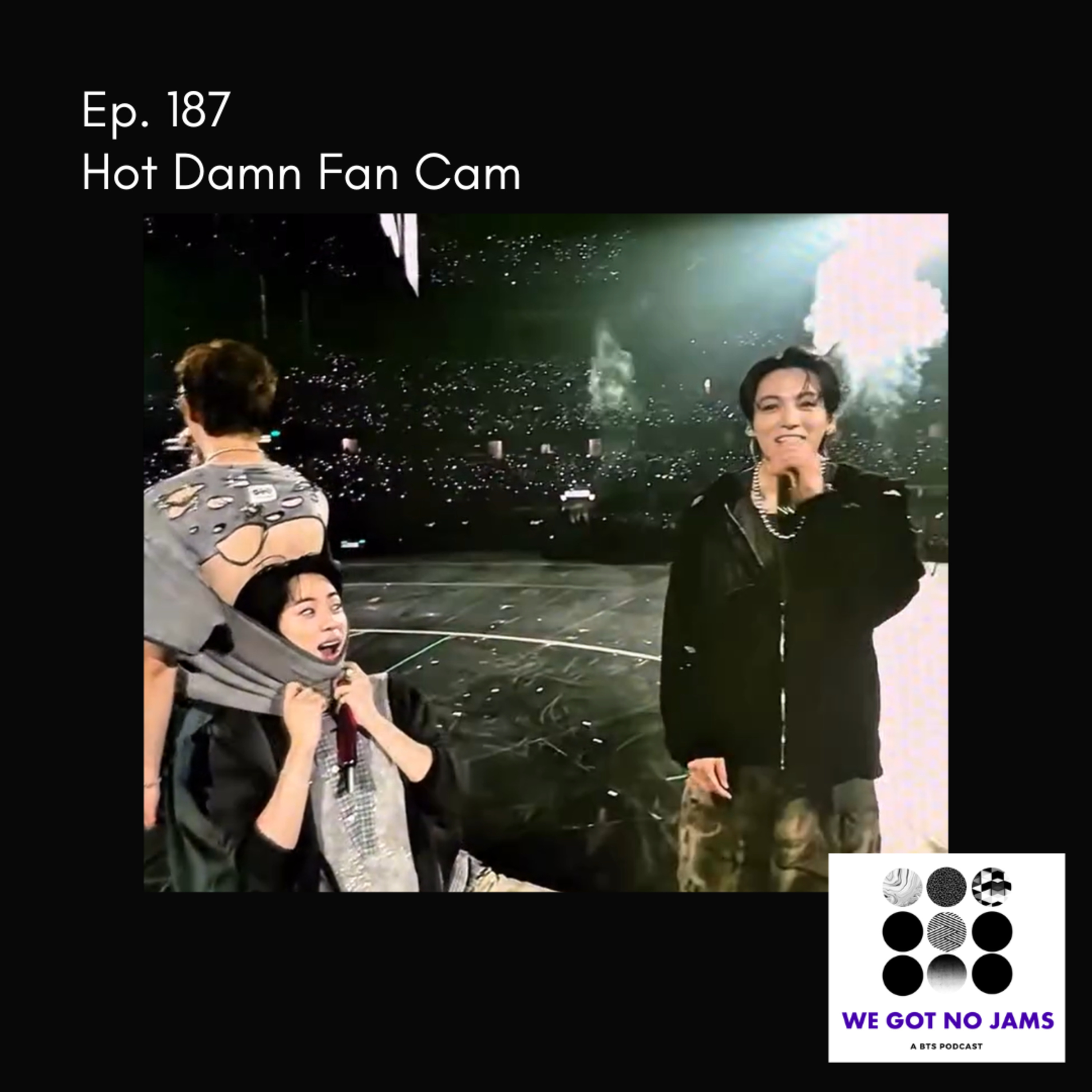 187. Hot Damn Fan Cam