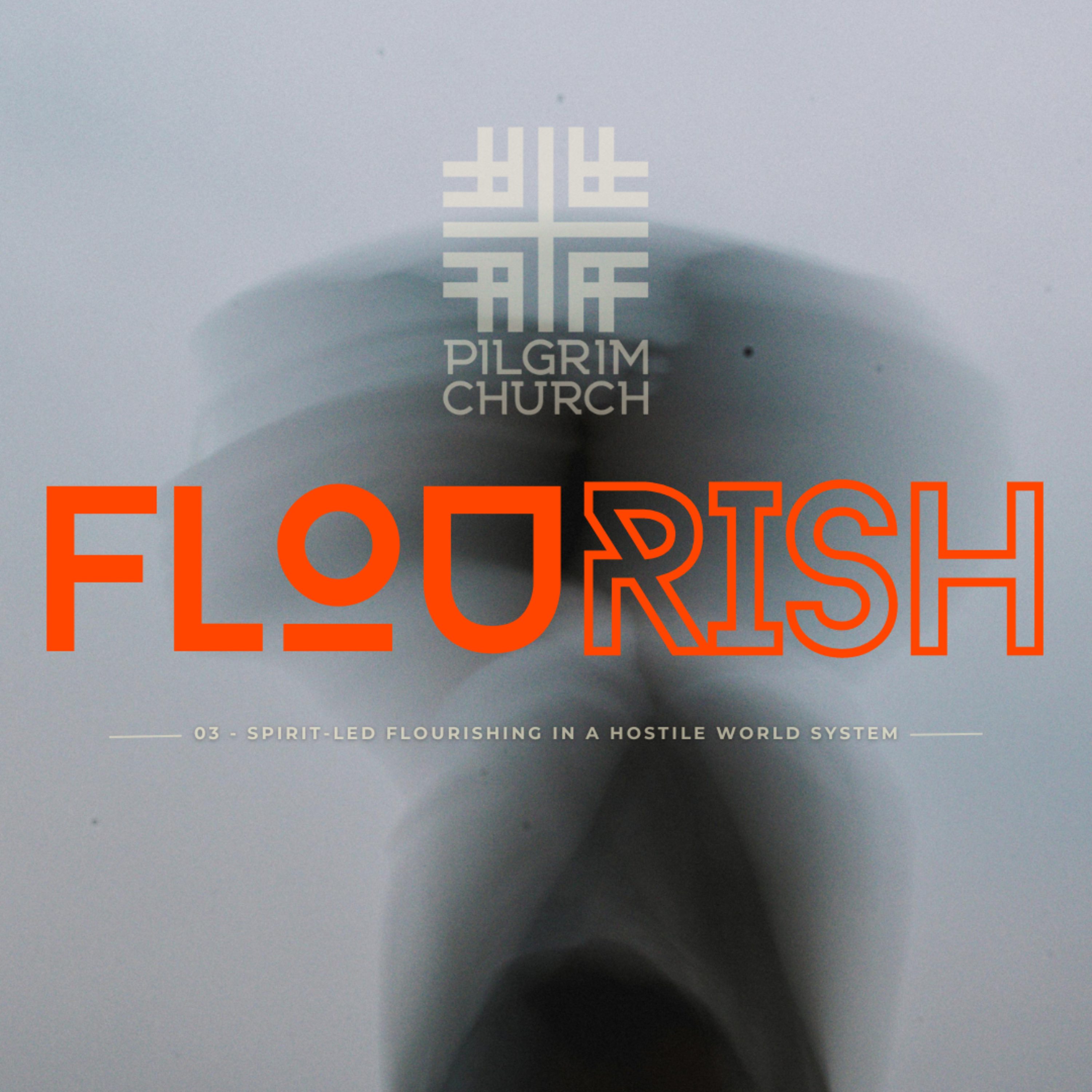FLOURISH: Spirit-Led Flourishing in a Hostile World System with Joshua Liem episode artwork