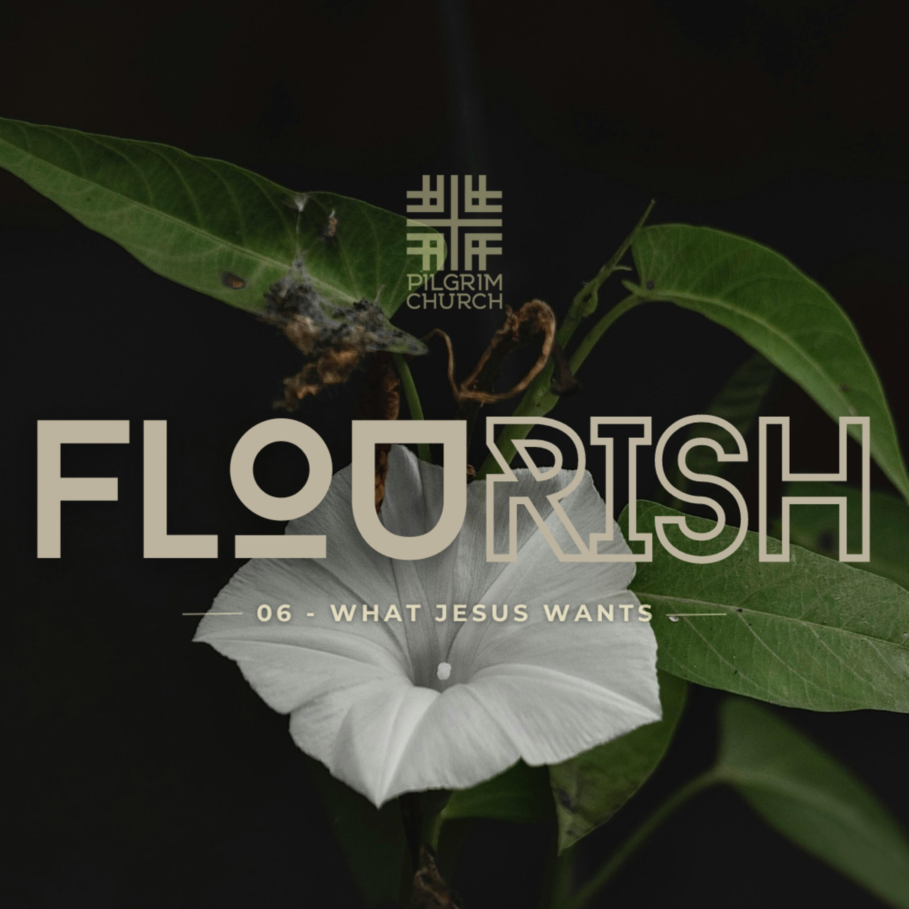 Flourish #6: What Jesus Wants with Joshua Liem episode artwork
