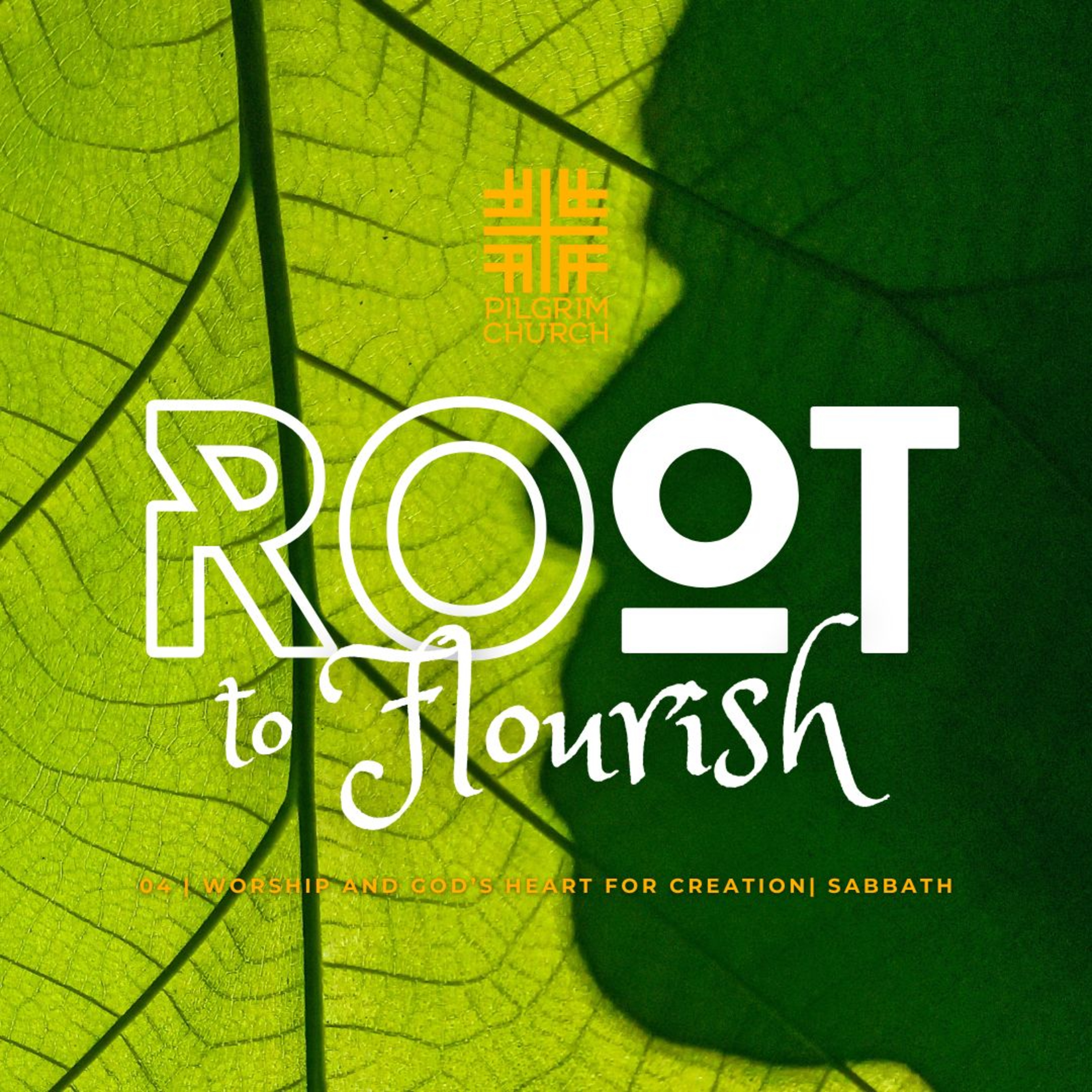 Root to Flourish: Sabbath 04 | Worship and God's Heart for Creation with Josh Liem episode artwork