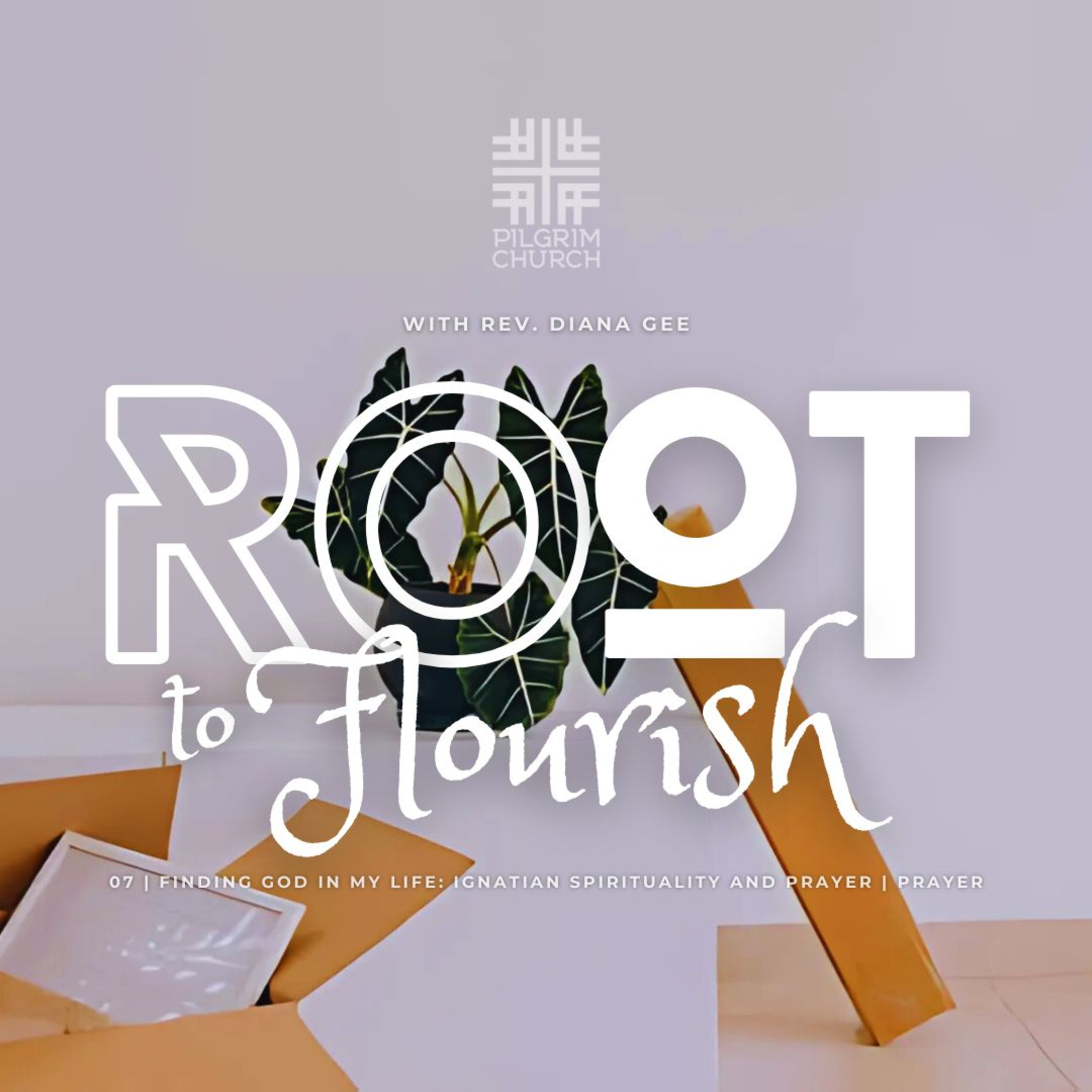 ROOT TO FLOURISH: Finding God in my Life: Ignatian Spirituality and Prayer with Rev. Diana Gee  episode artwork