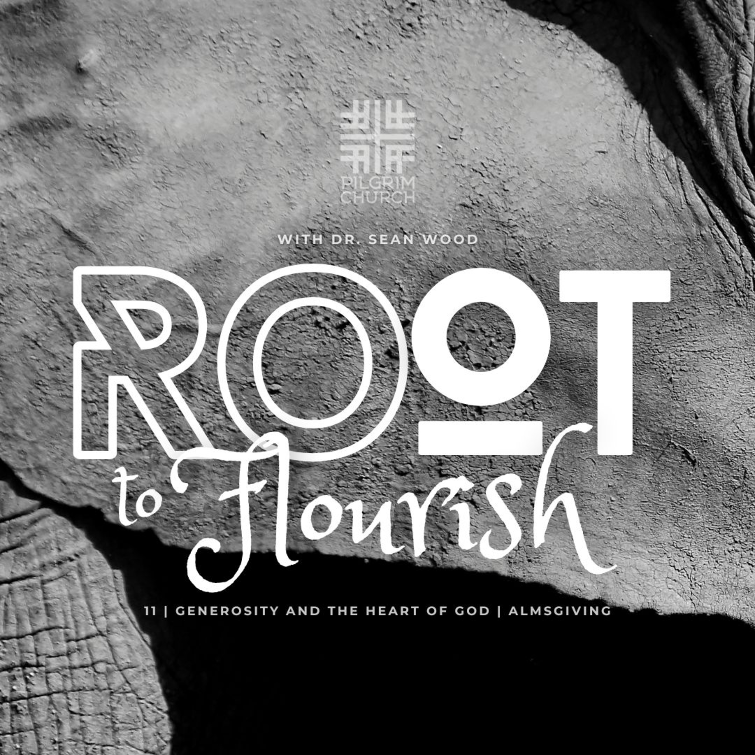 ROOT TO FLOURISH: Generosity and the Heart of God with Dr. Sean Wood | ALMSGIVING03 episode artwork