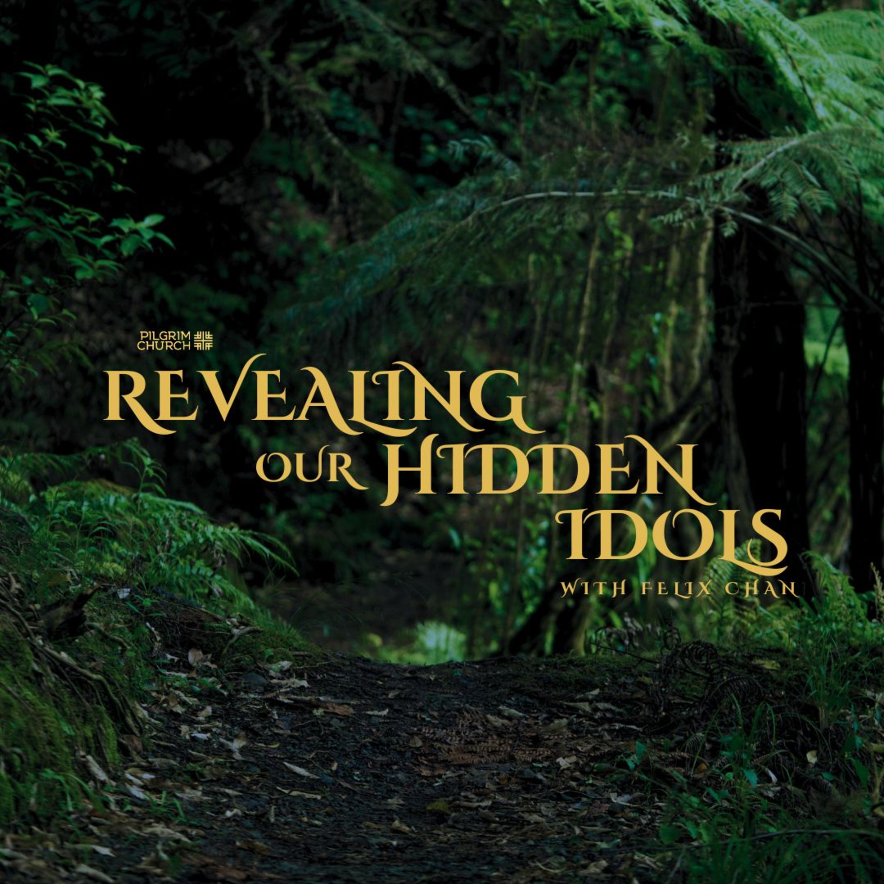 Revealing Our Hidden Idols with Felix Chan