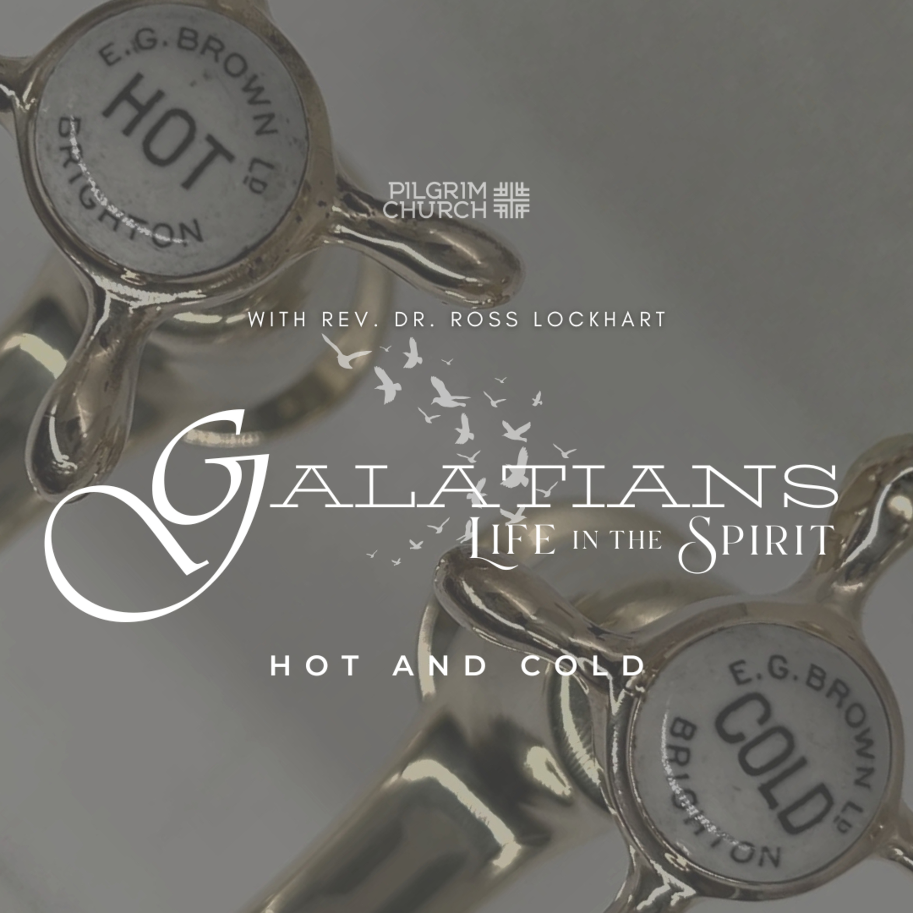 Hot and Cold with Guest Rev. Dr. Ross Lockhart episode artwork