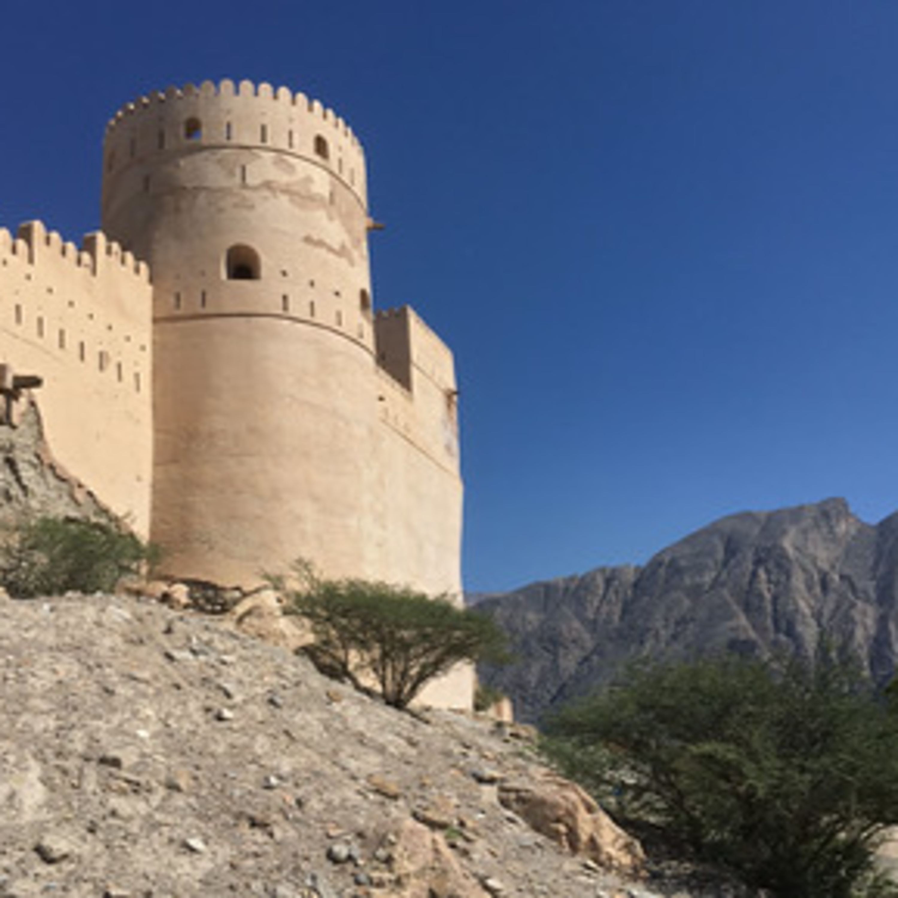 Naturally Adventurous