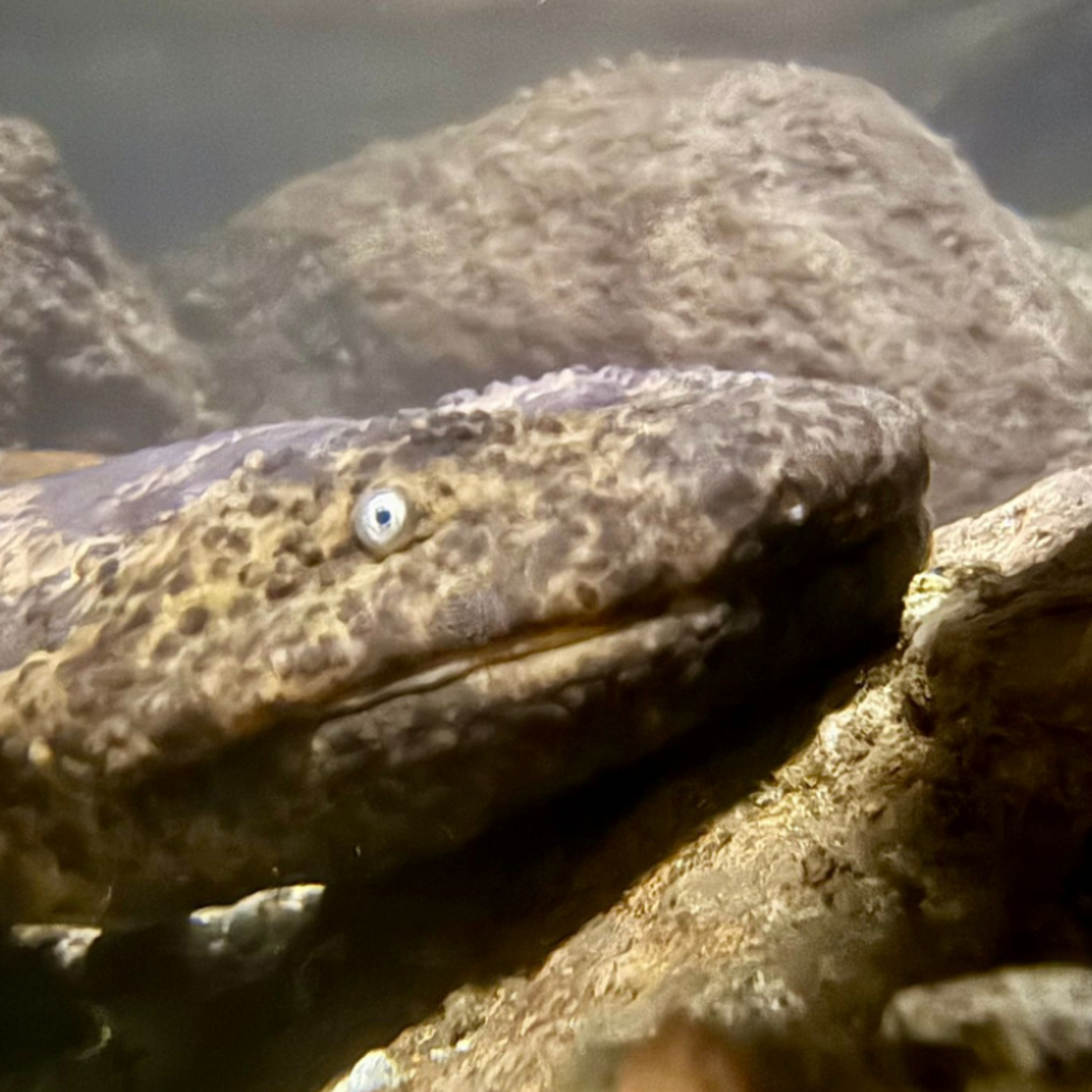 Naturally Adventurous