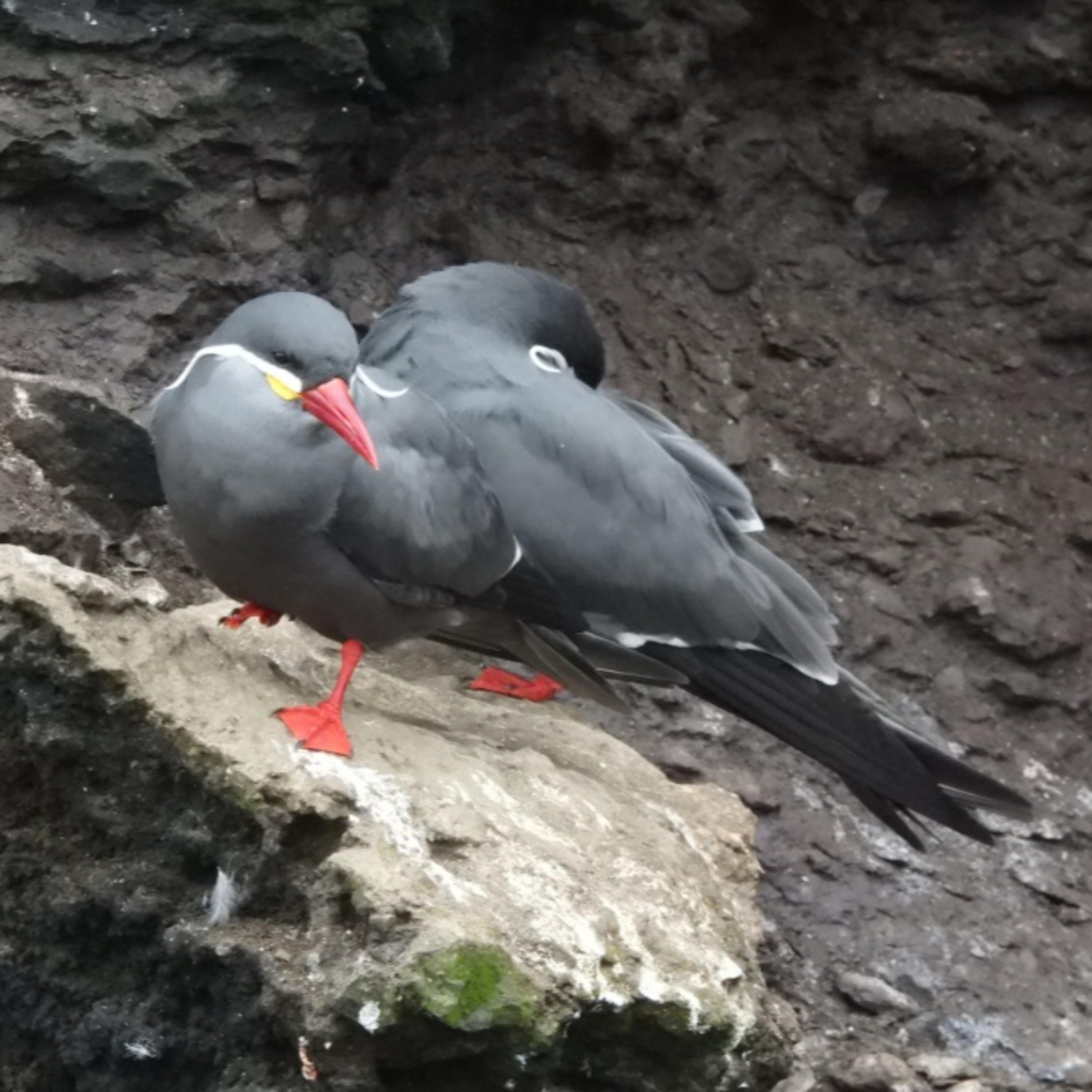 S6E36: Central Peru with Jason Lewis (part 2)