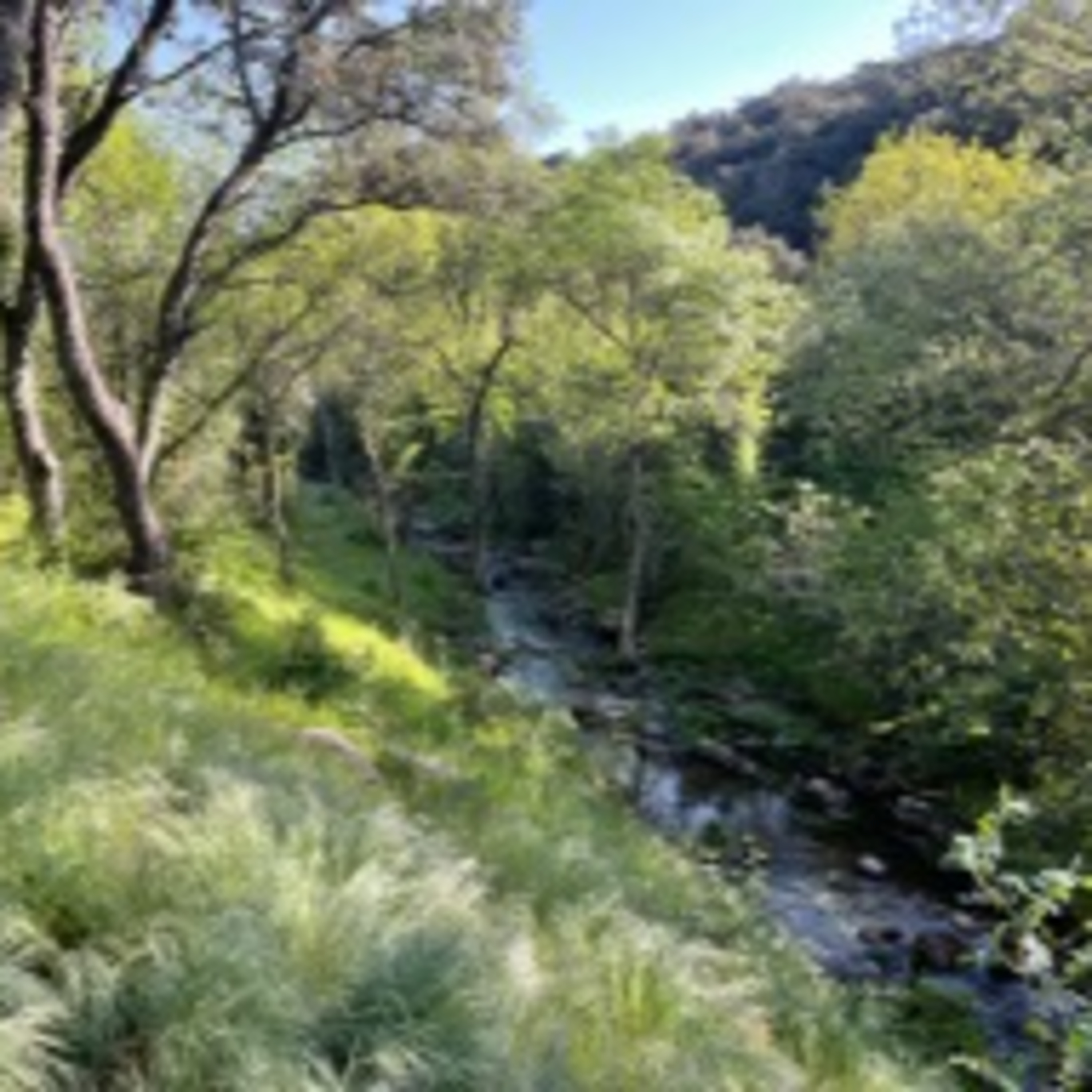 S6E41: Segovia Spain bird walk with Ken