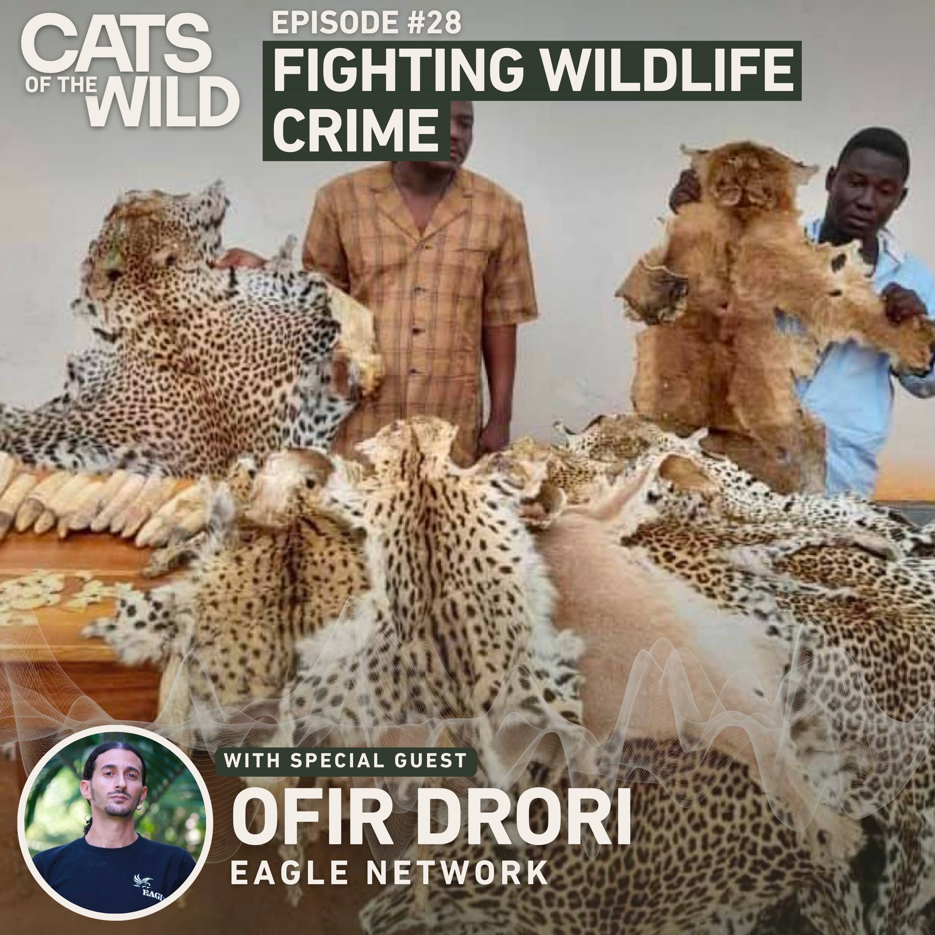 Fighting Wildlife Crime: Ofir Drori, EAGLE Network