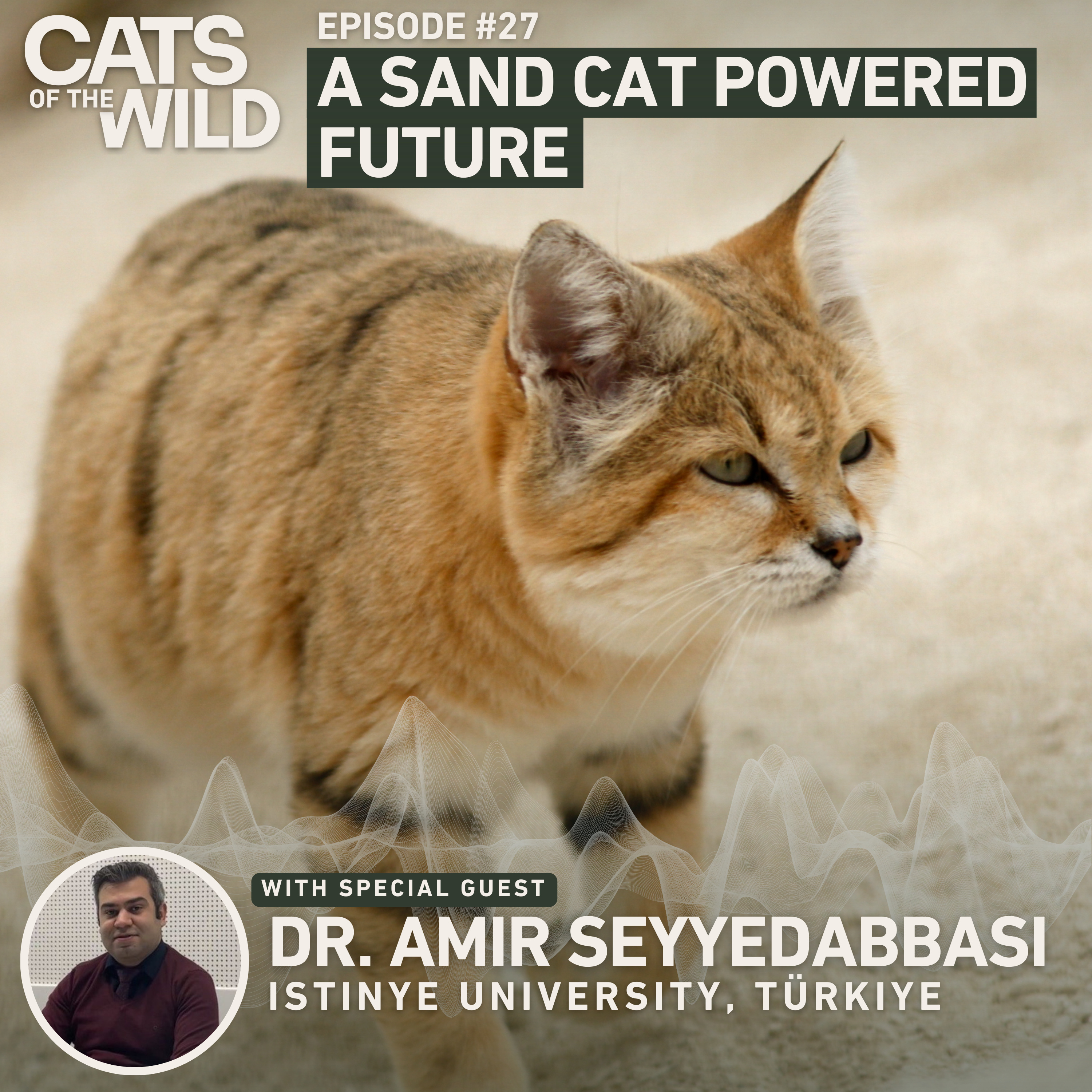 A Sand Cat Powered Future: Dr. Amir Seyyedabbasi, Istinye University