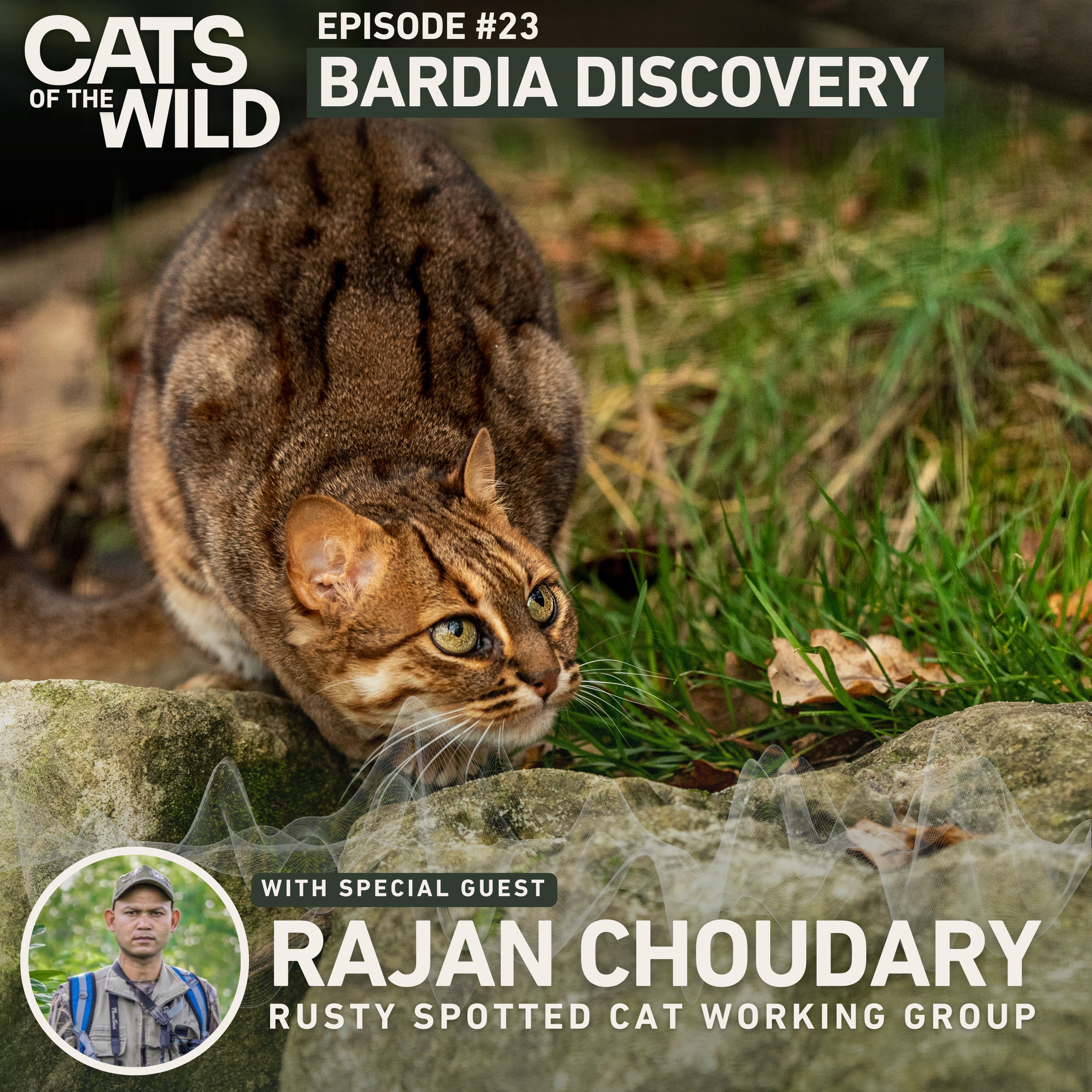 Bardia Discovery: Rajan Choudhary, Rusty-Spotted Cat Working Group