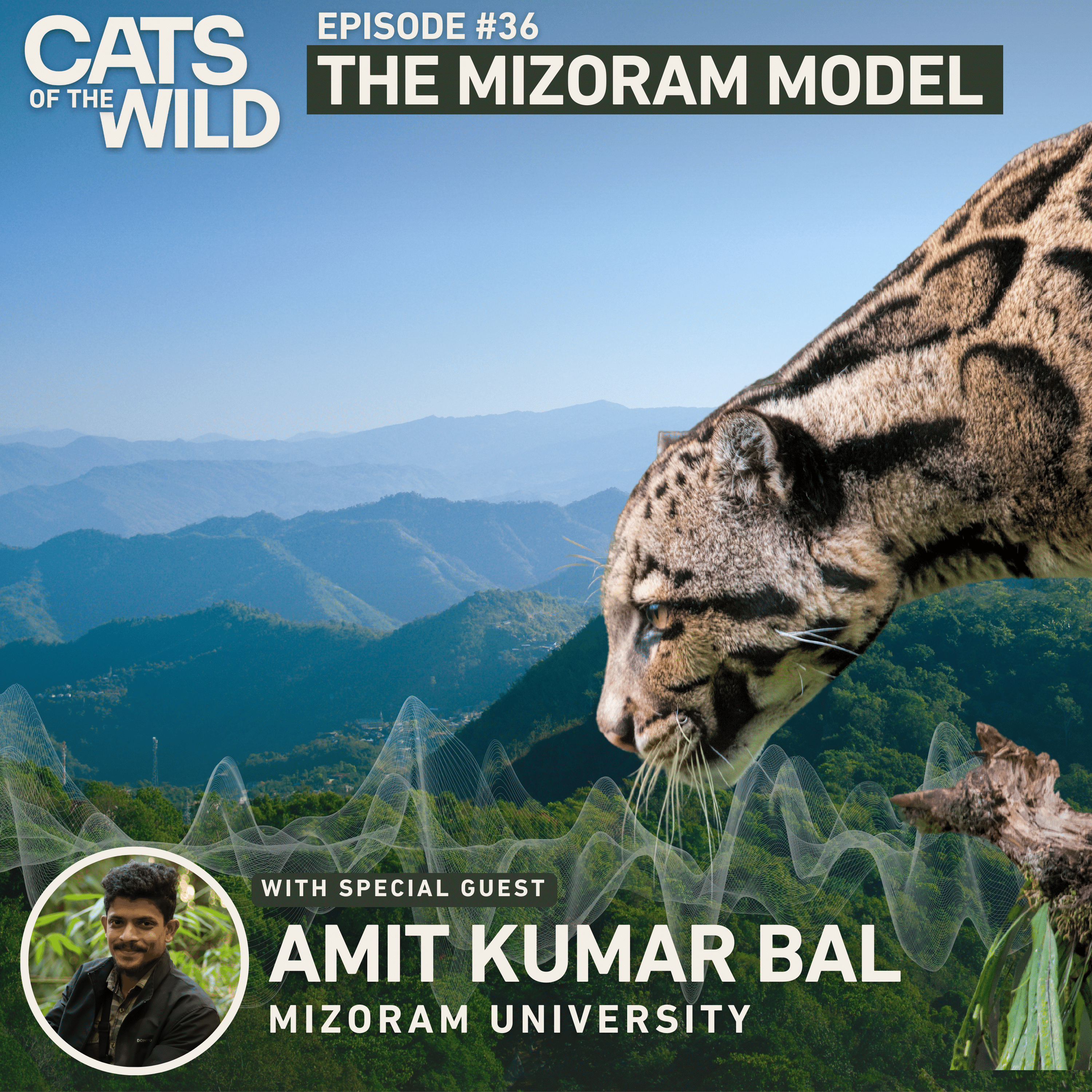 Cats of the Wild