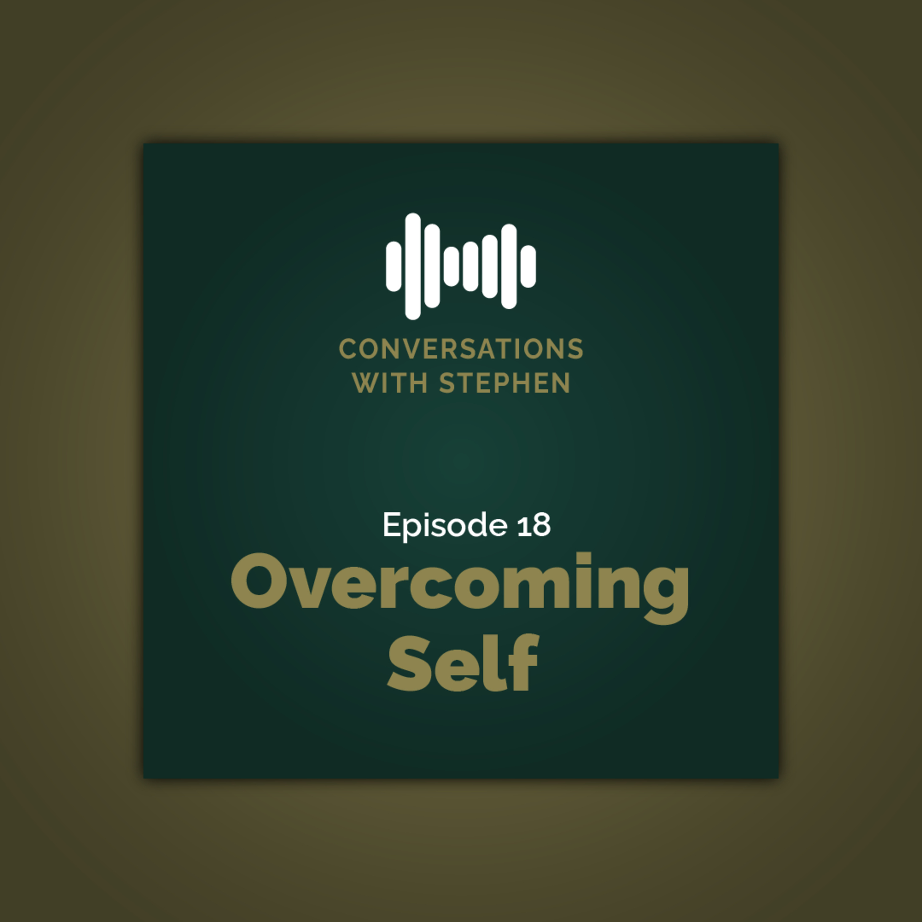 Conversations With Stephen