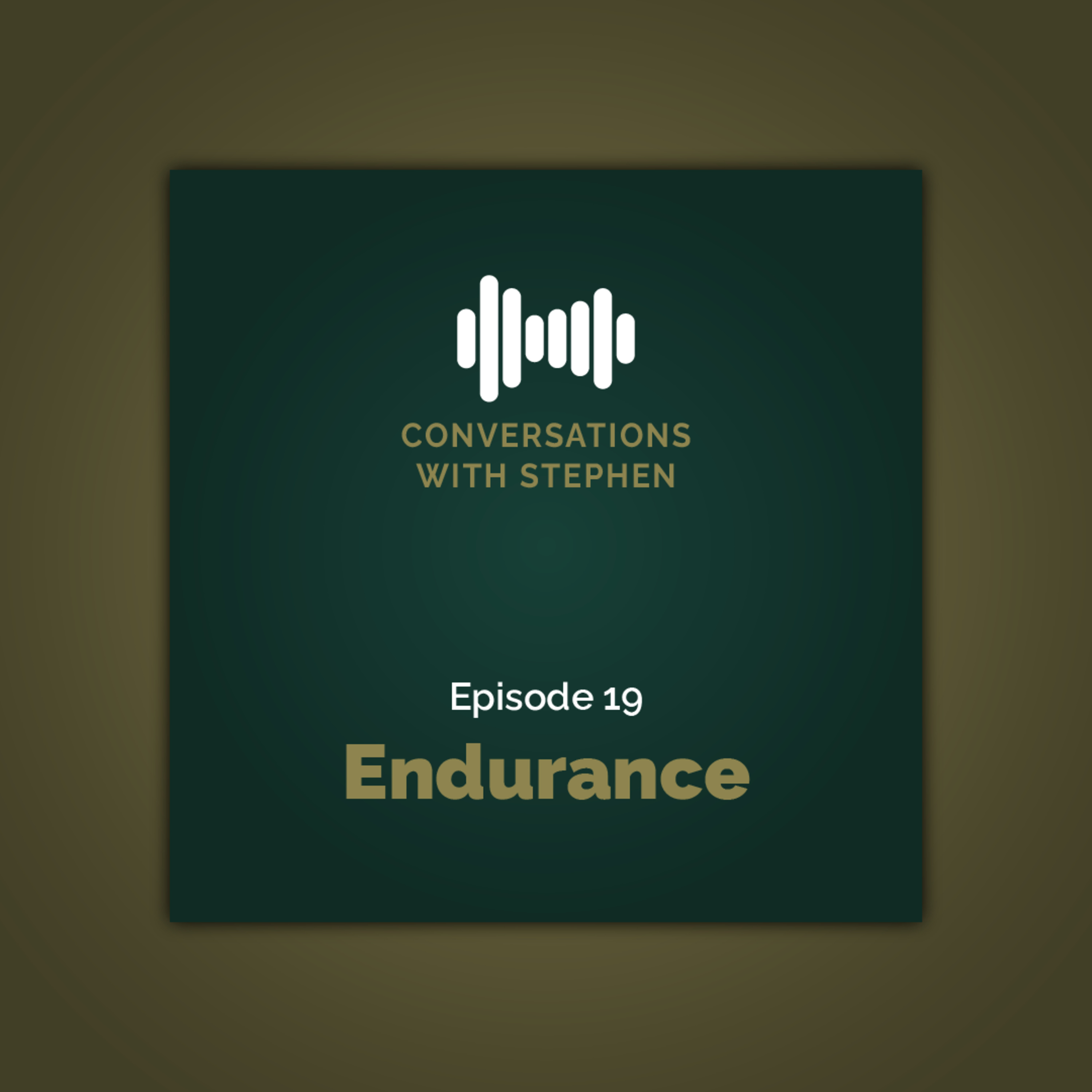 Conversations With Stephen