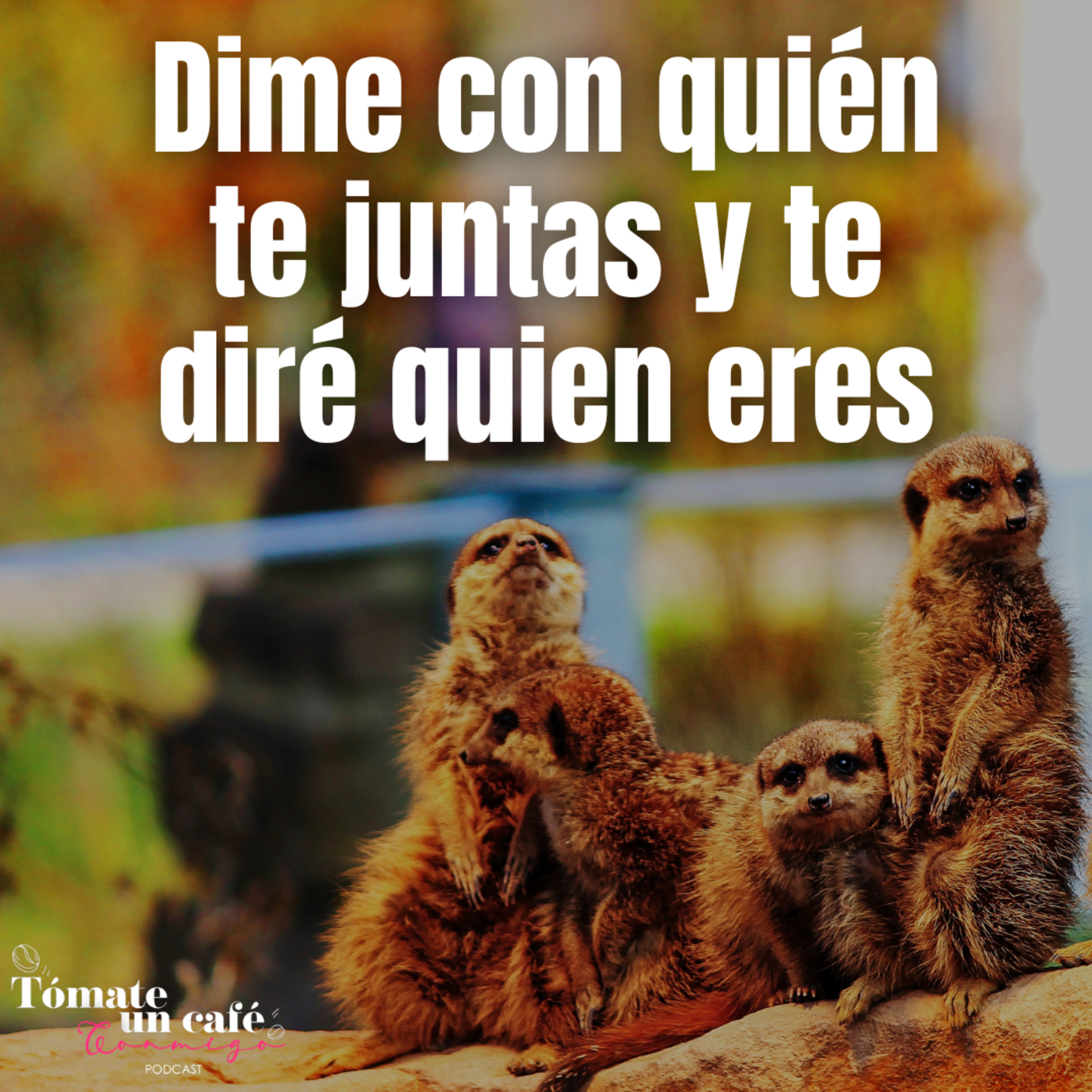 Dime con quién te juntas y te diré quien eres. episode artwork