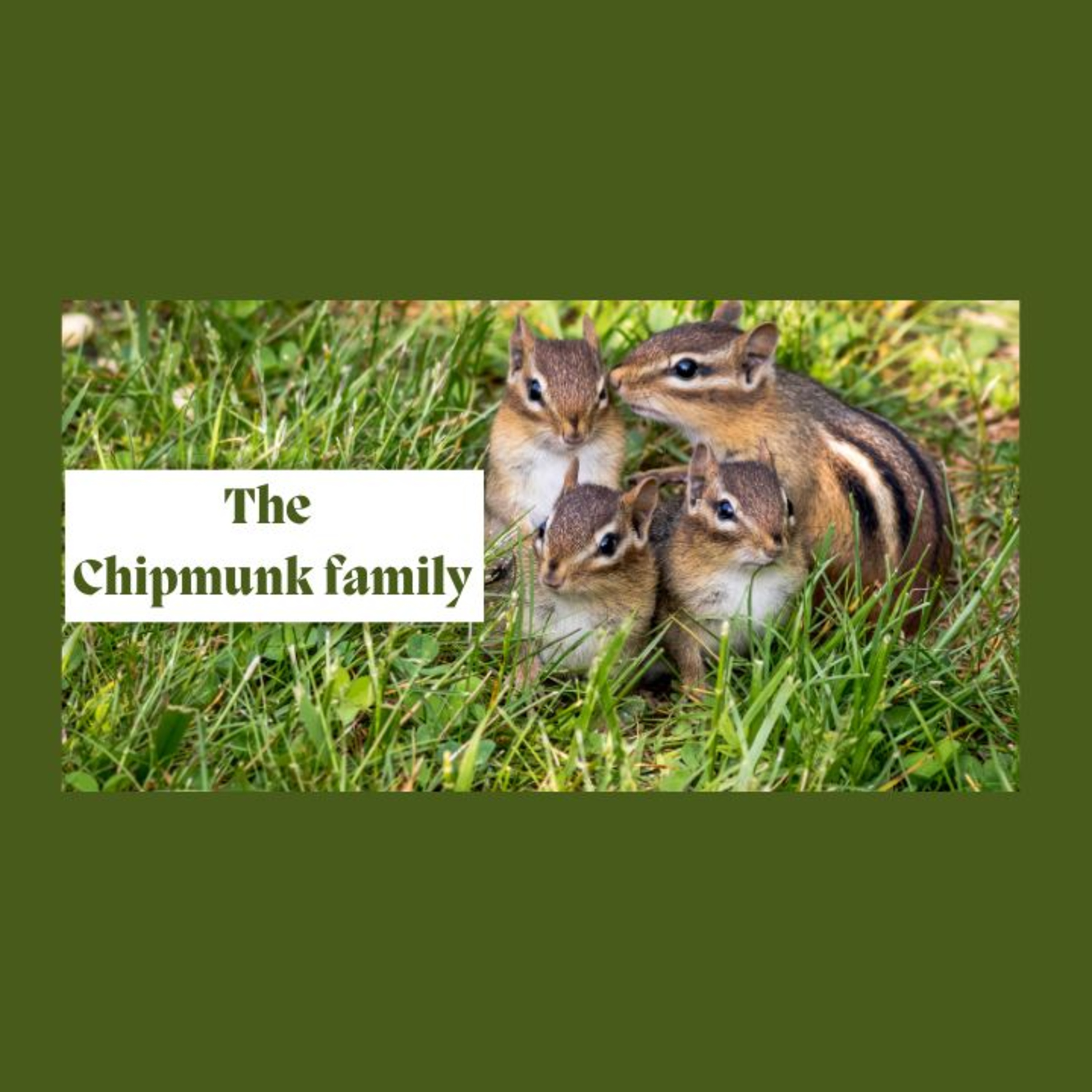 Chipmunk Parents Podcast episode artwork