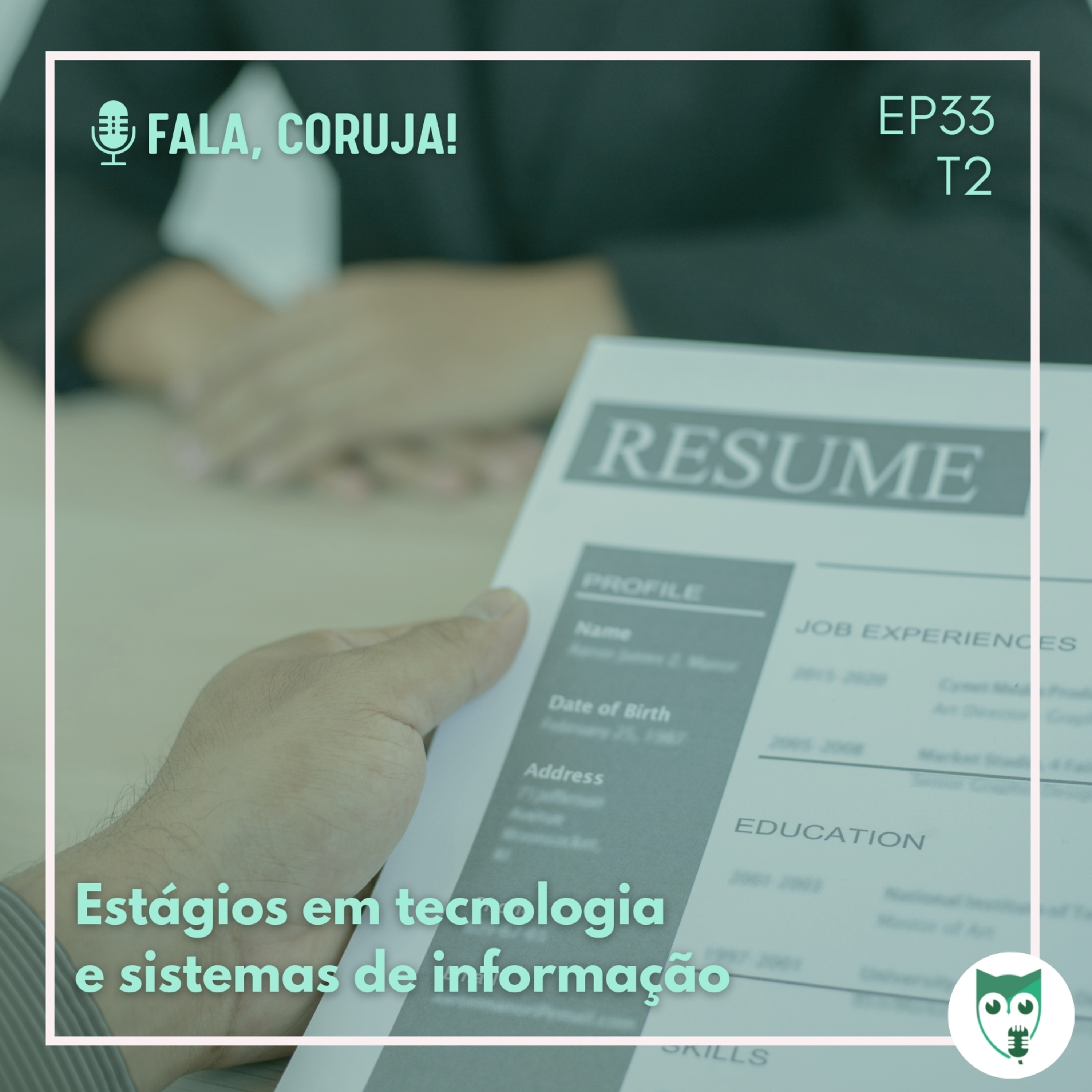 #33 - Estágio em Tecnologia IV: explorando outras áreas em tecnologia episode artwork