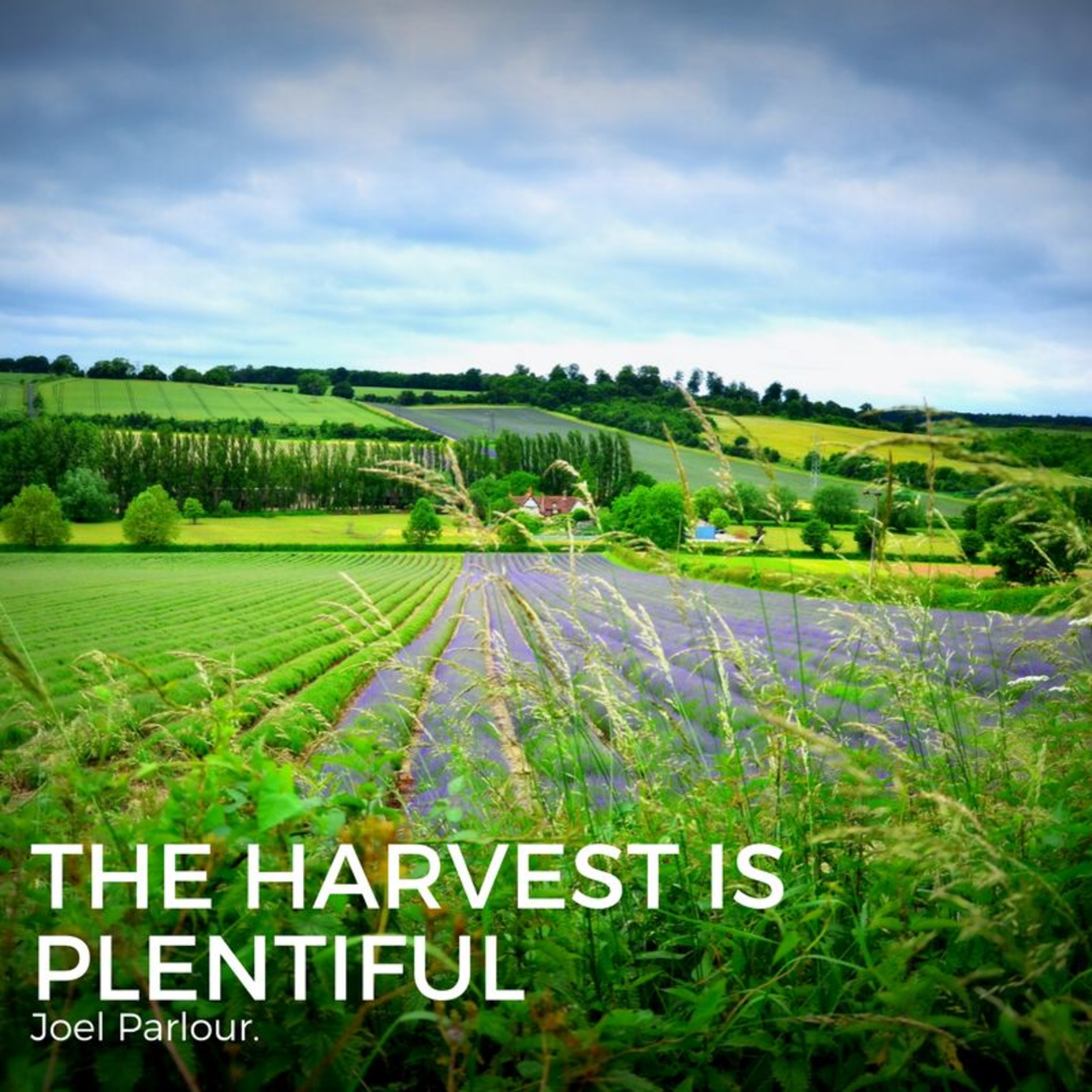 April 11, 2018 Men's Midweek - The Harvest Is Plentiful | Joel Parlour episode artwork