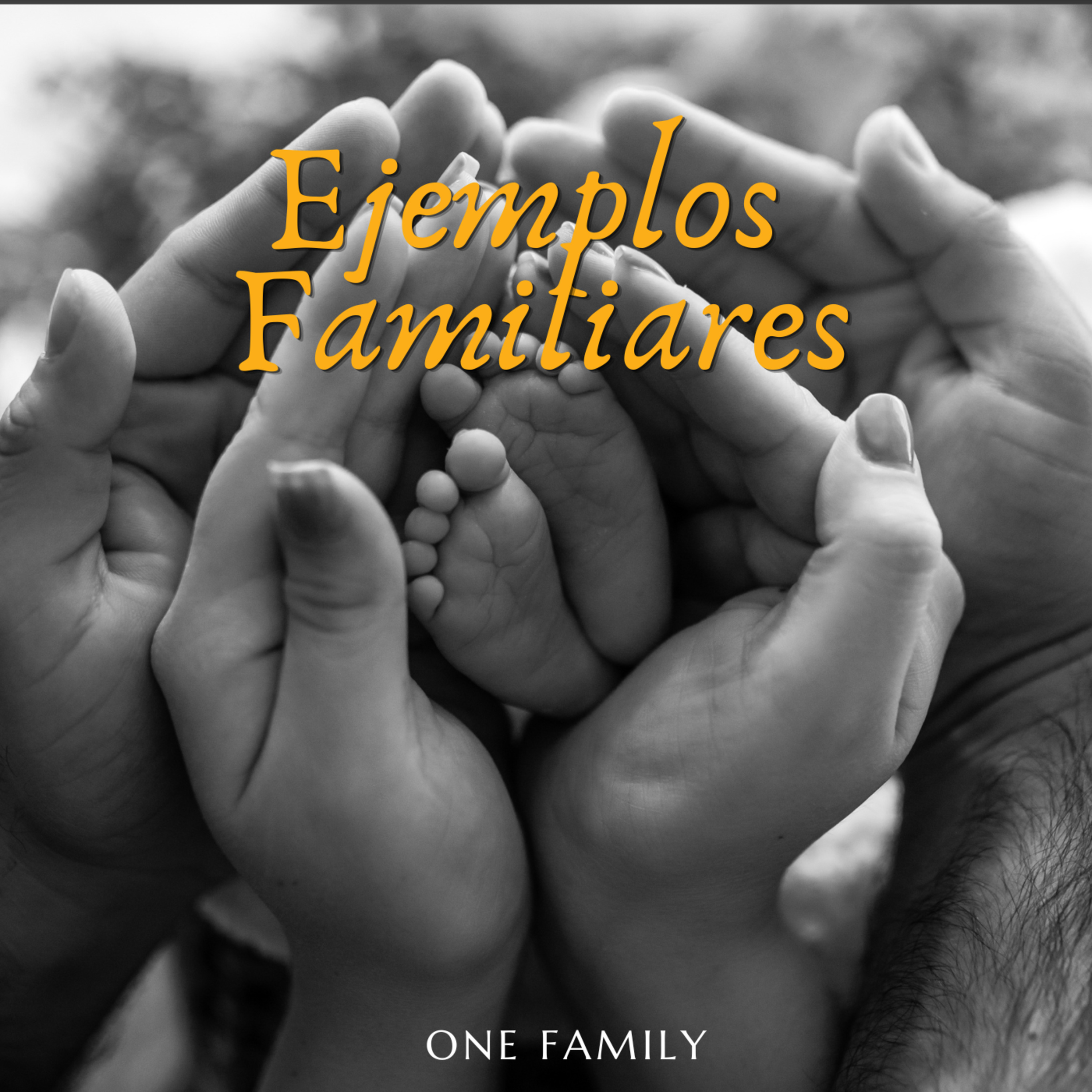 Portada de IGLESIA ONE FAMILY