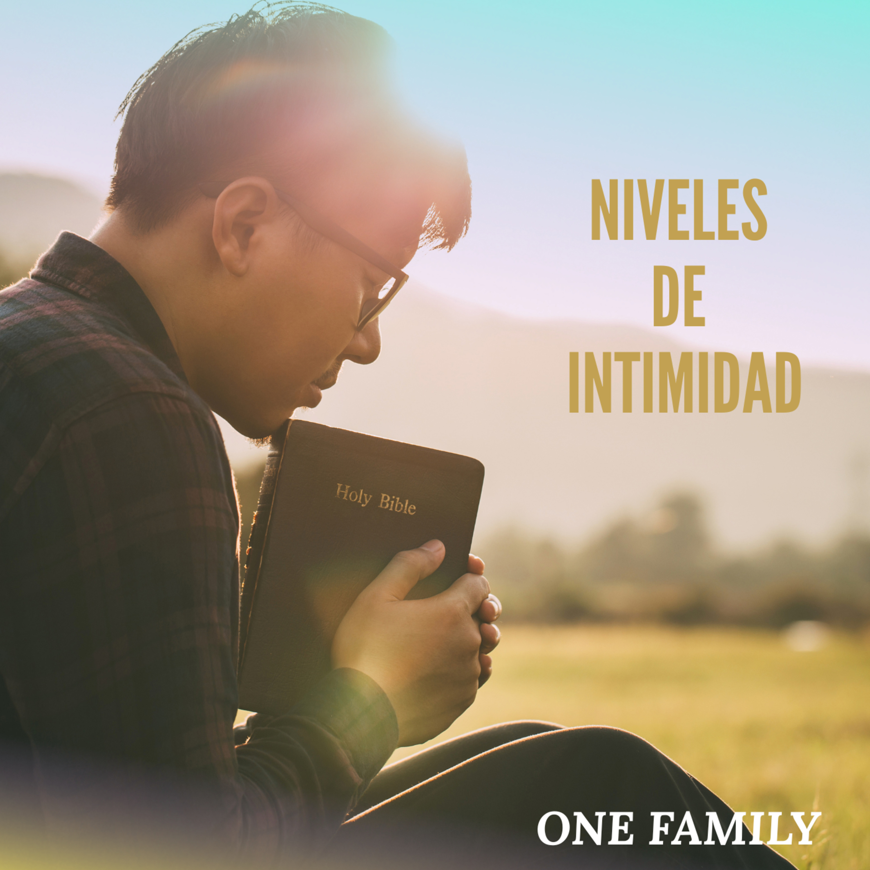 Portada de IGLESIA ONE FAMILY