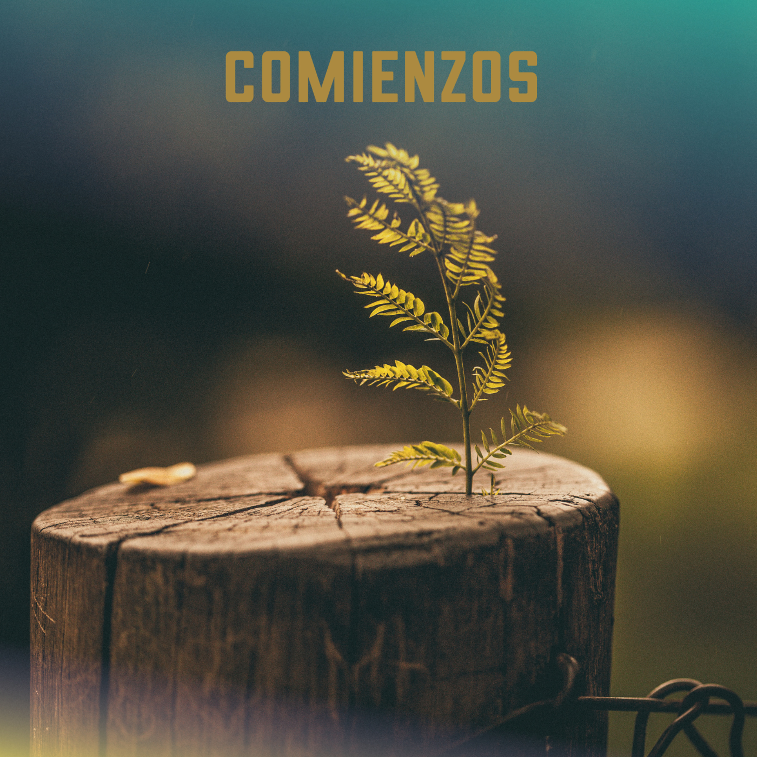 Portada de IGLESIA ONE FAMILY