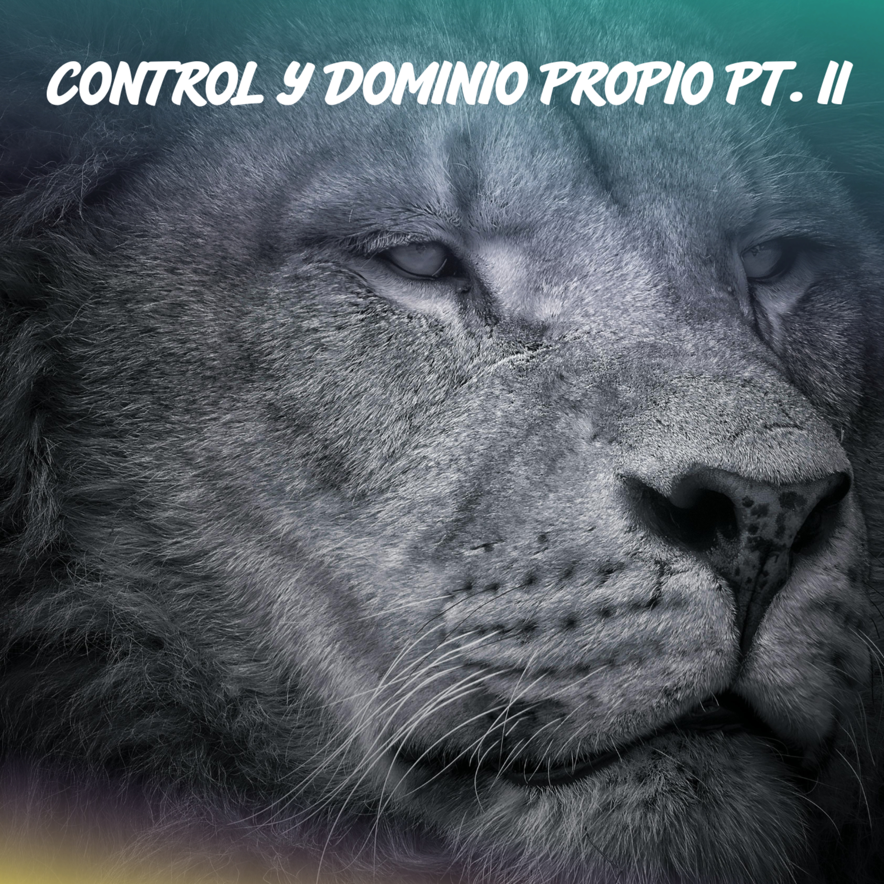 Portada de IGLESIA ONE FAMILY