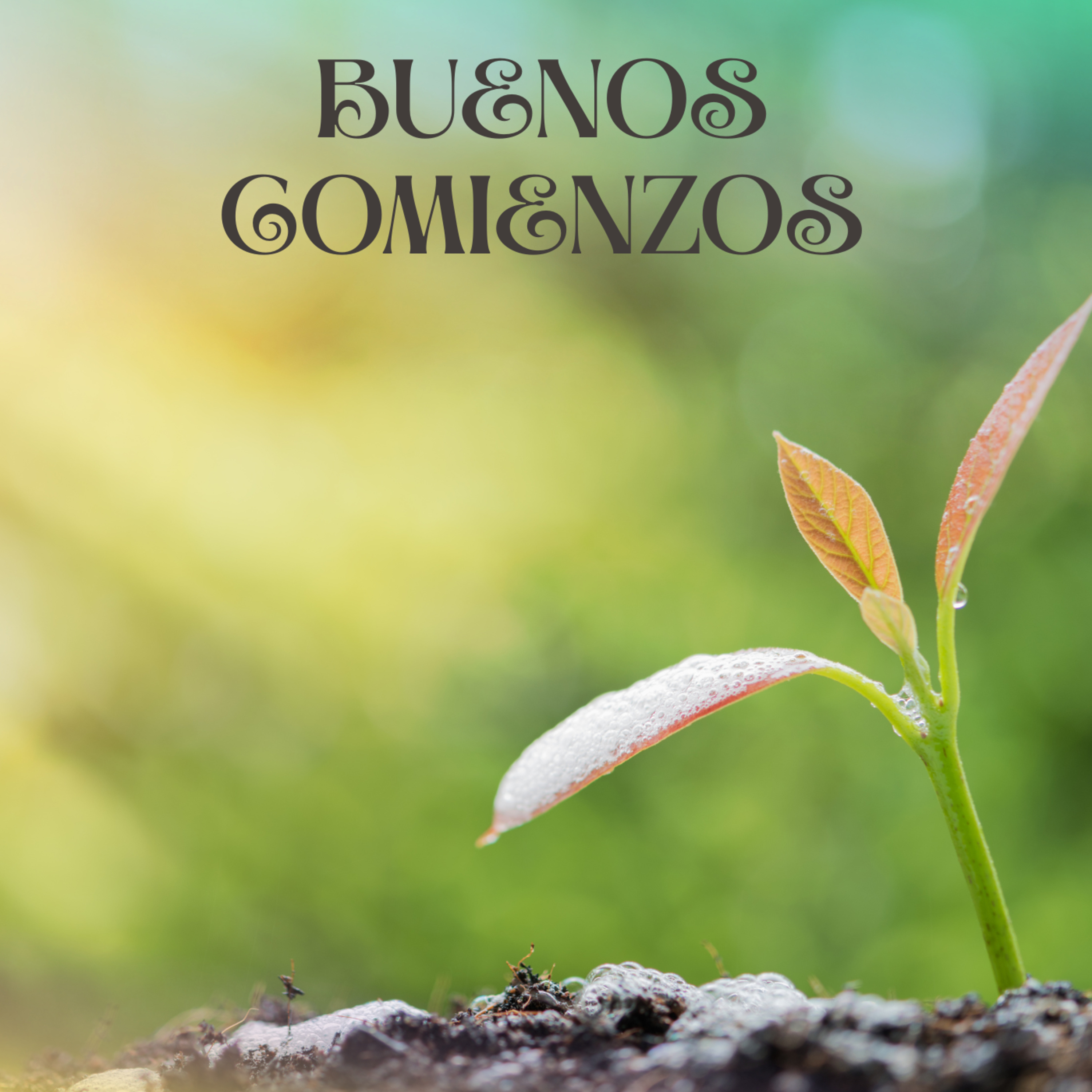 Portada de IGLESIA ONE FAMILY