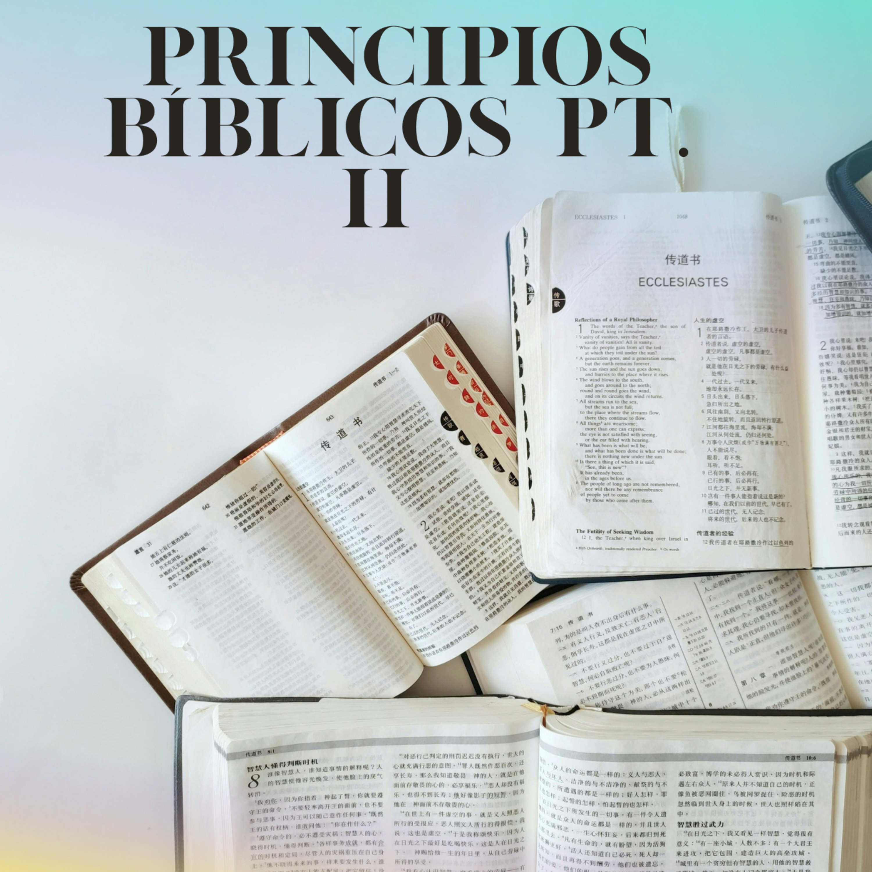 Portada de IGLESIA ONE FAMILY